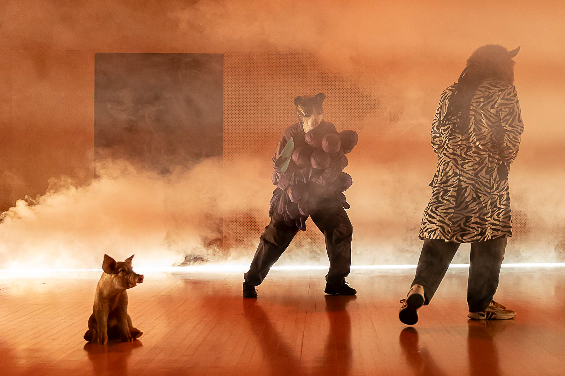 Shit Show de Dominique Sophie