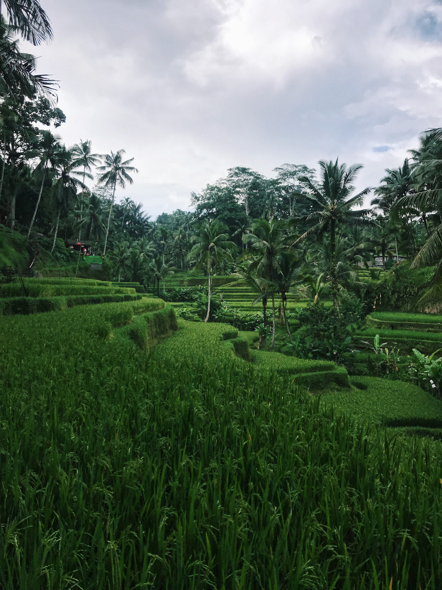 Processed with VSCO with c1 preset