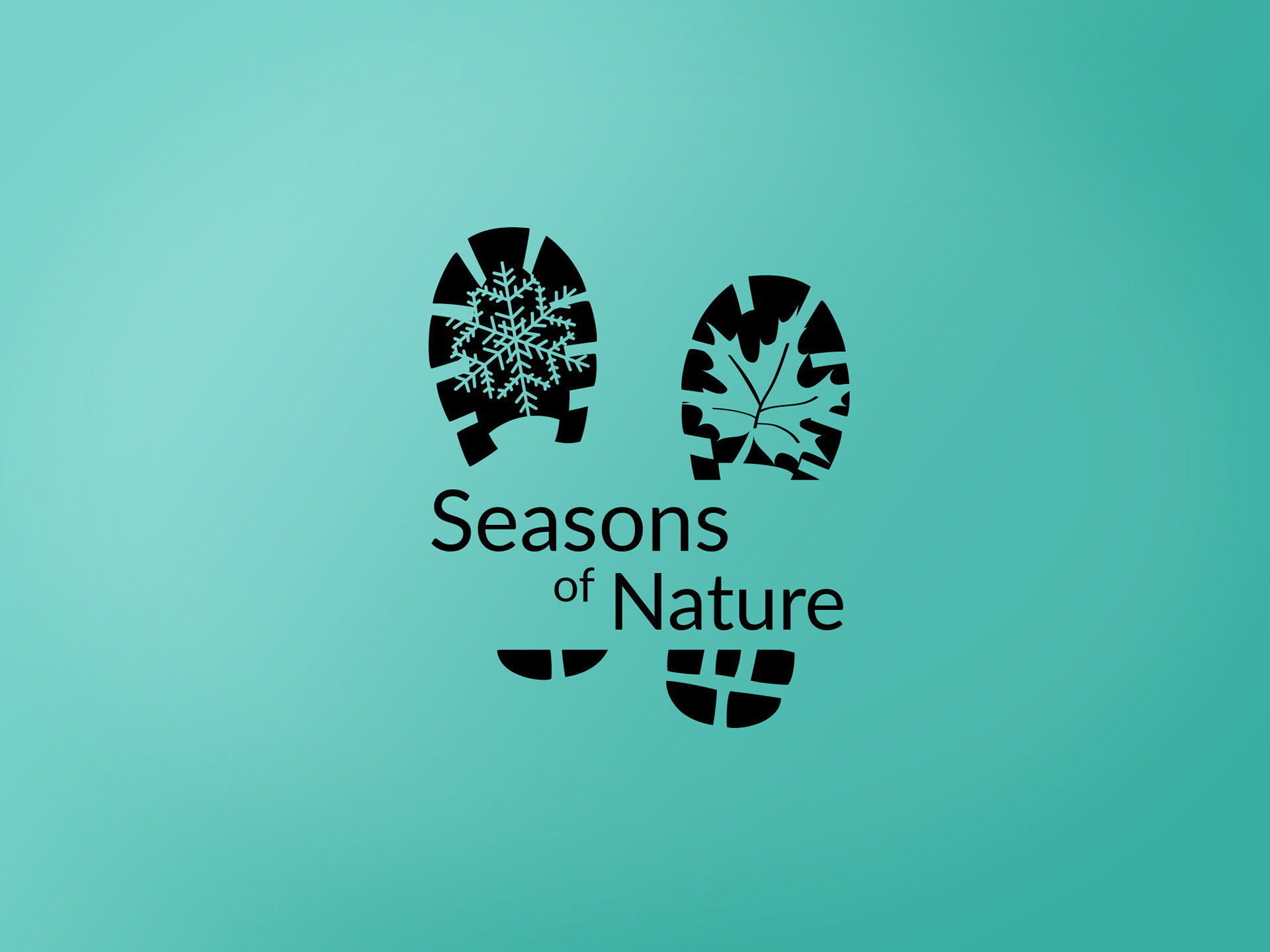 black-only logo for Seasons of Nature over a light teal background