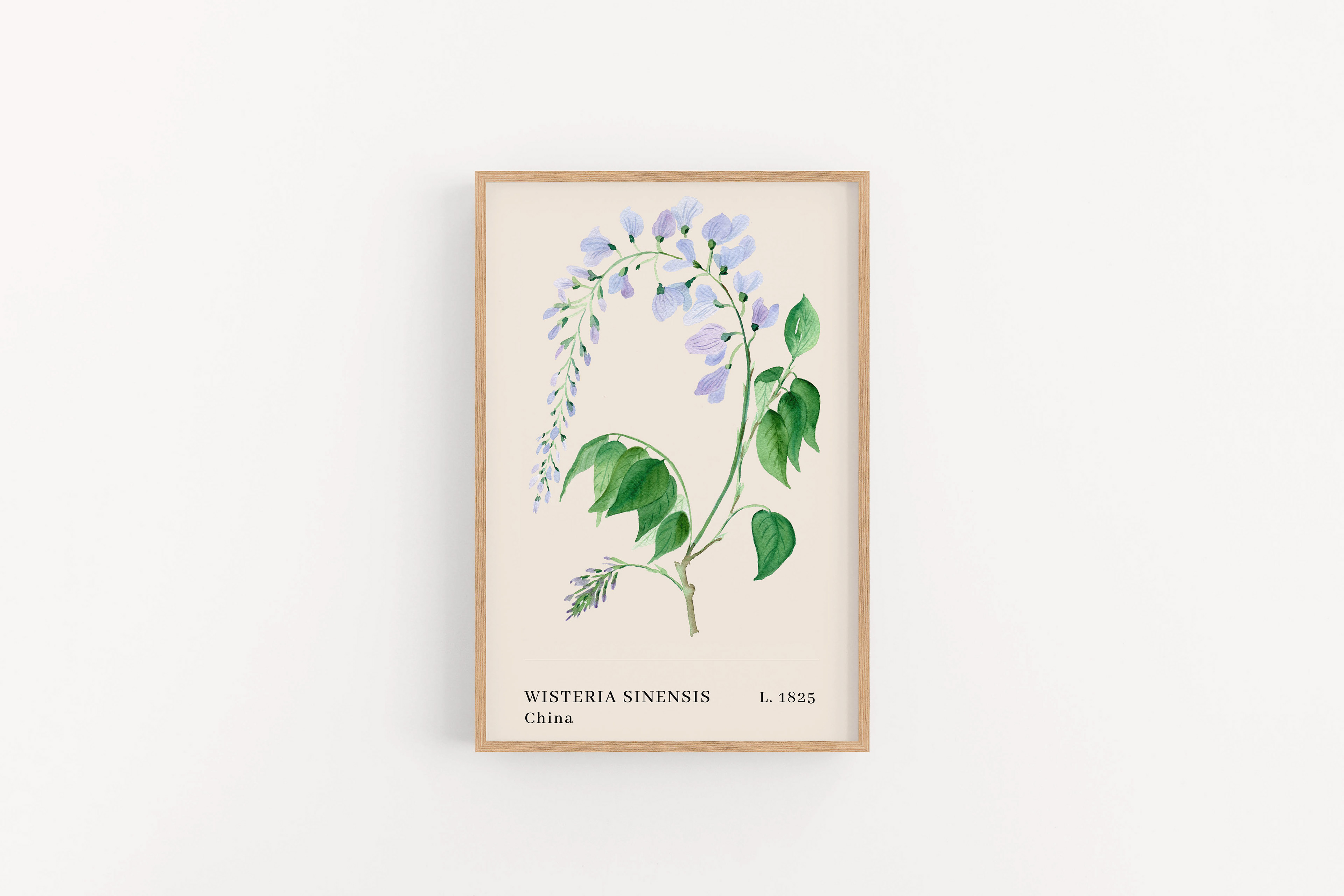 Glycine