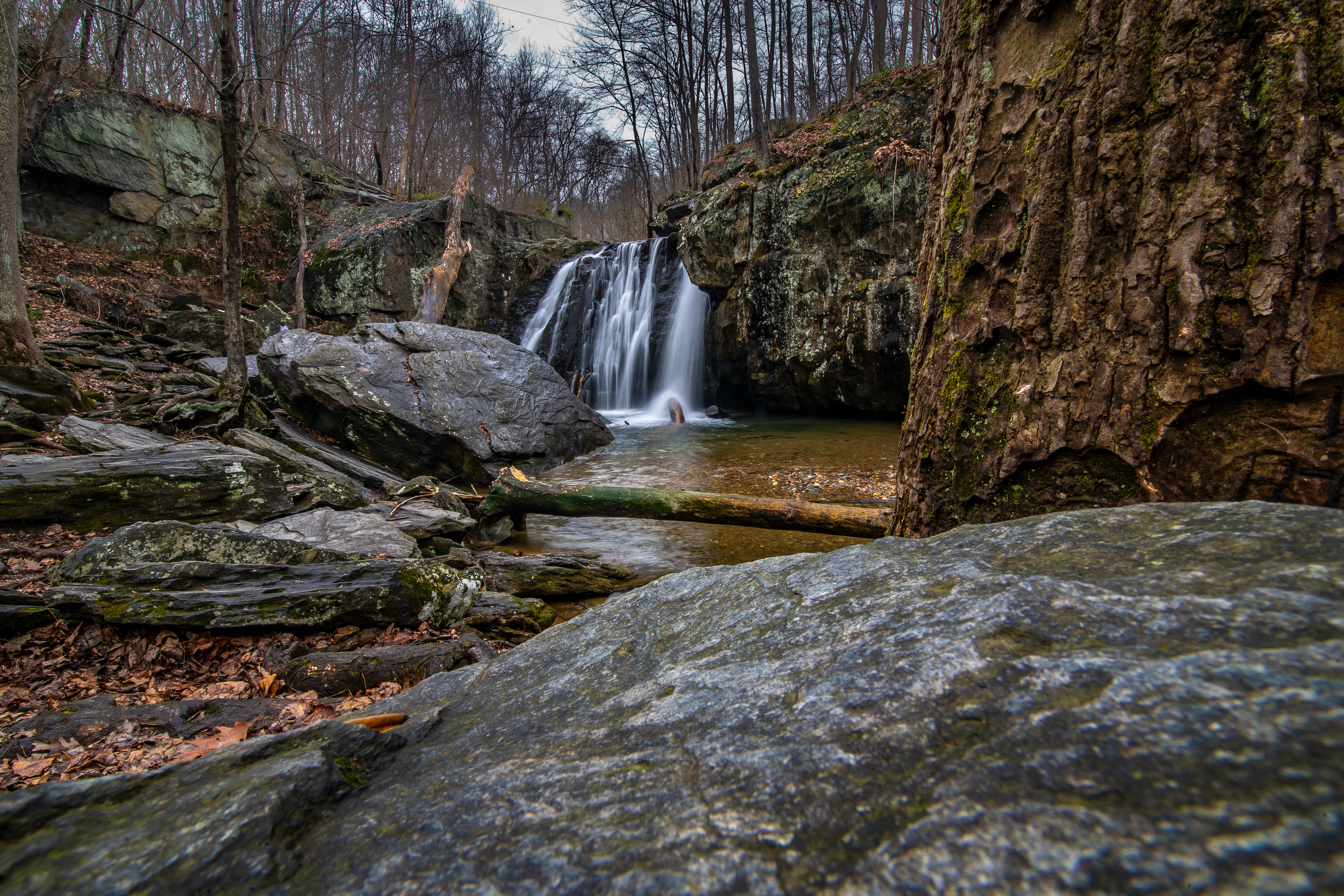 Marcus Summers Photography