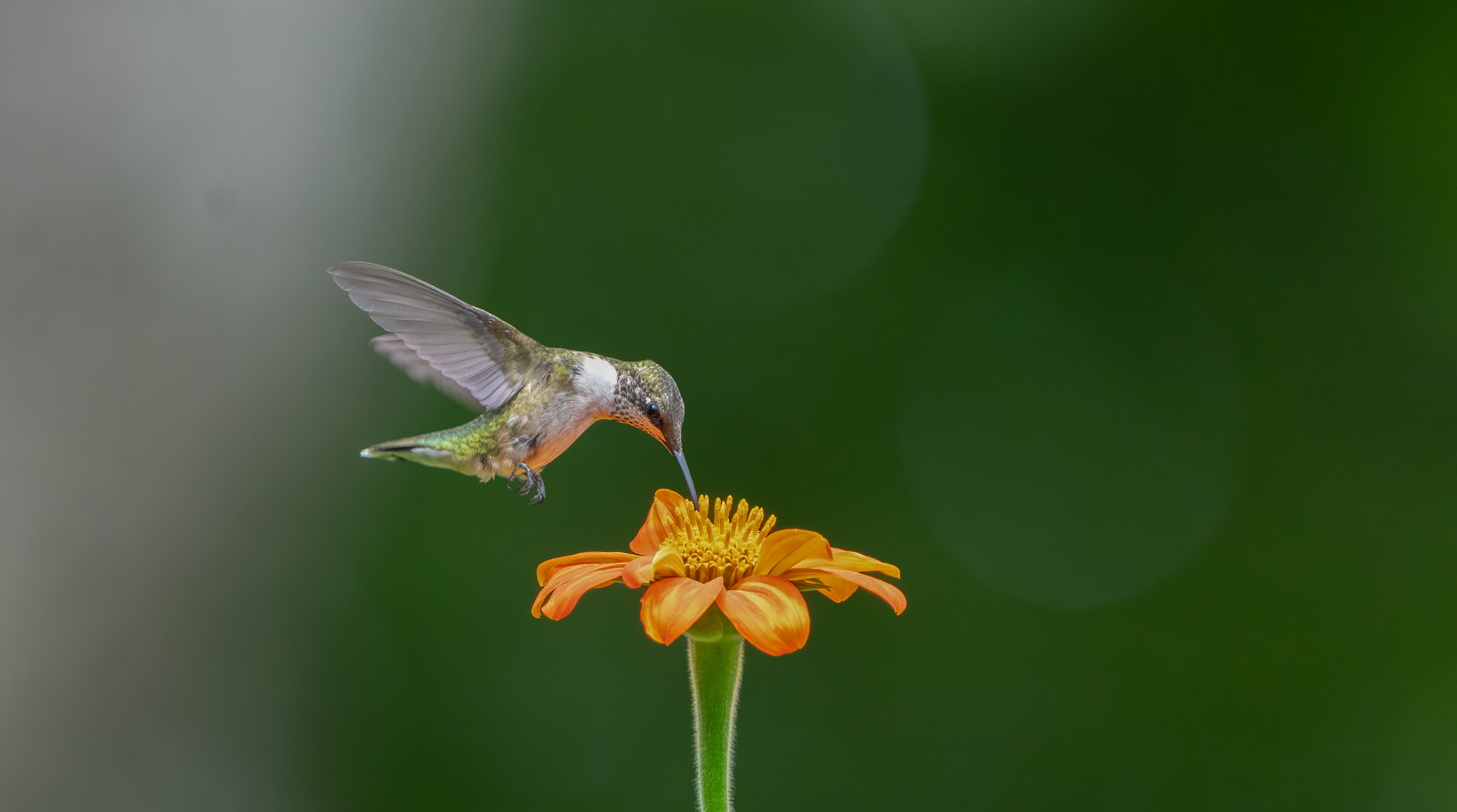 Marcus Summers Photography