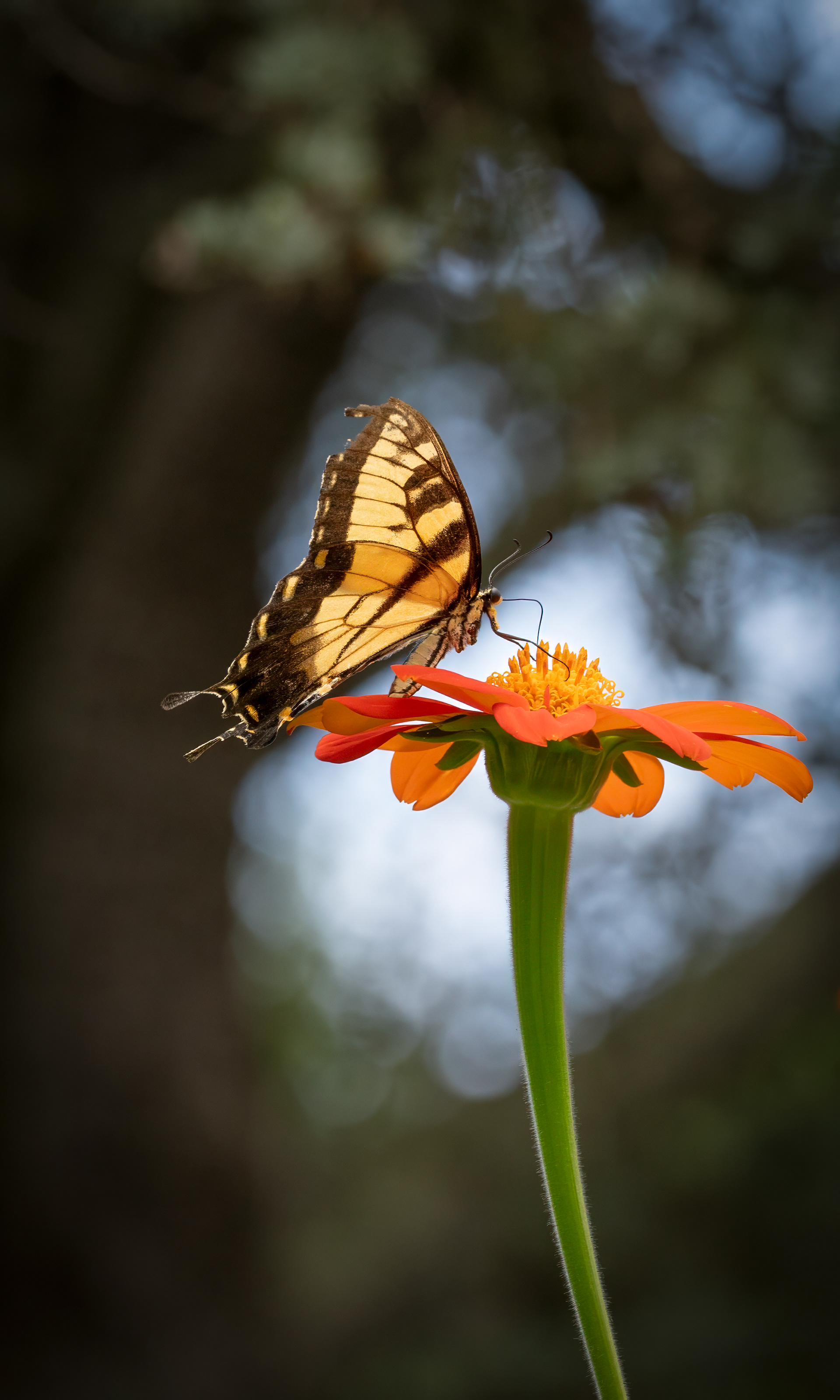 Marcus Summers Photography