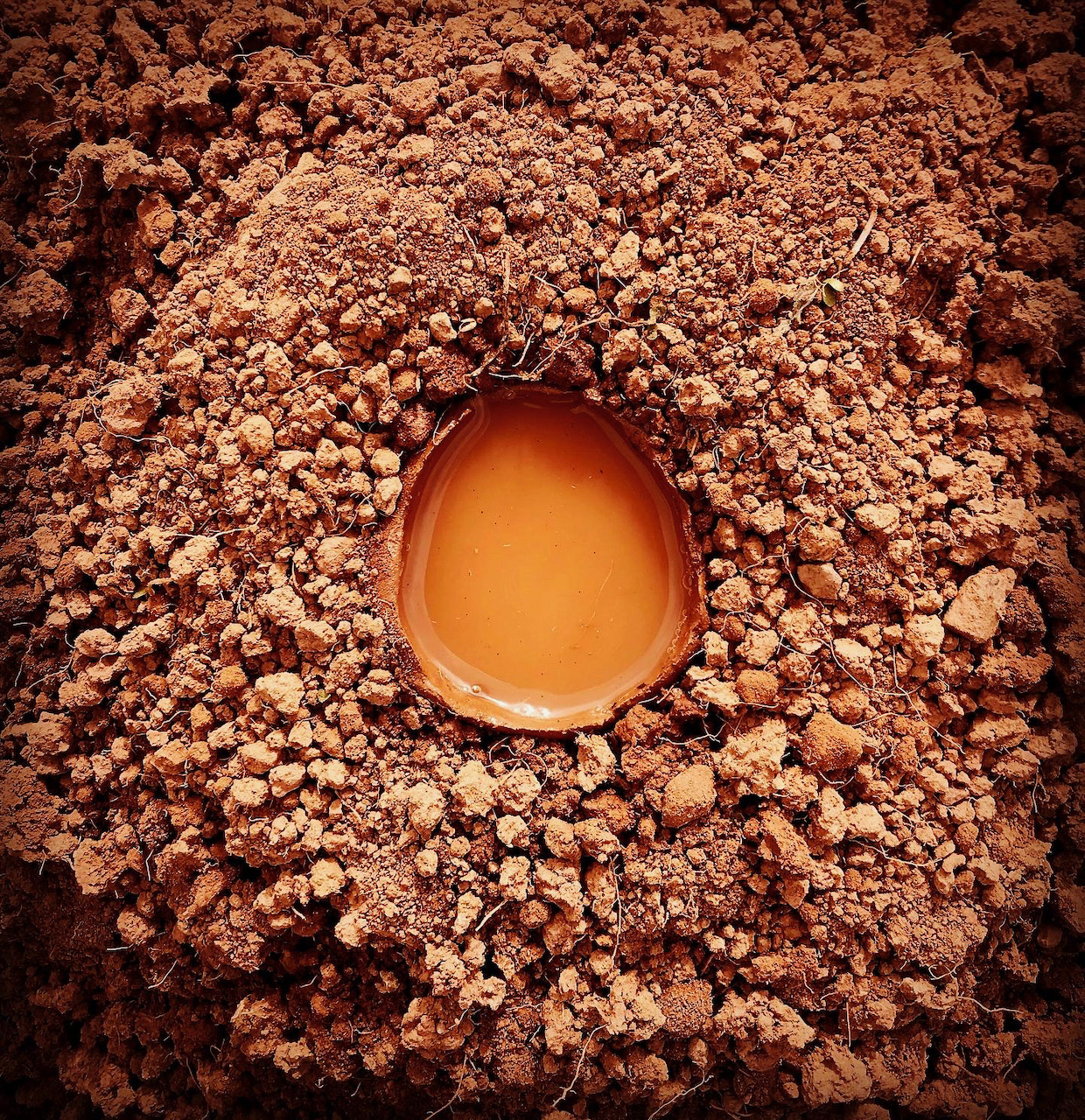 water and soil