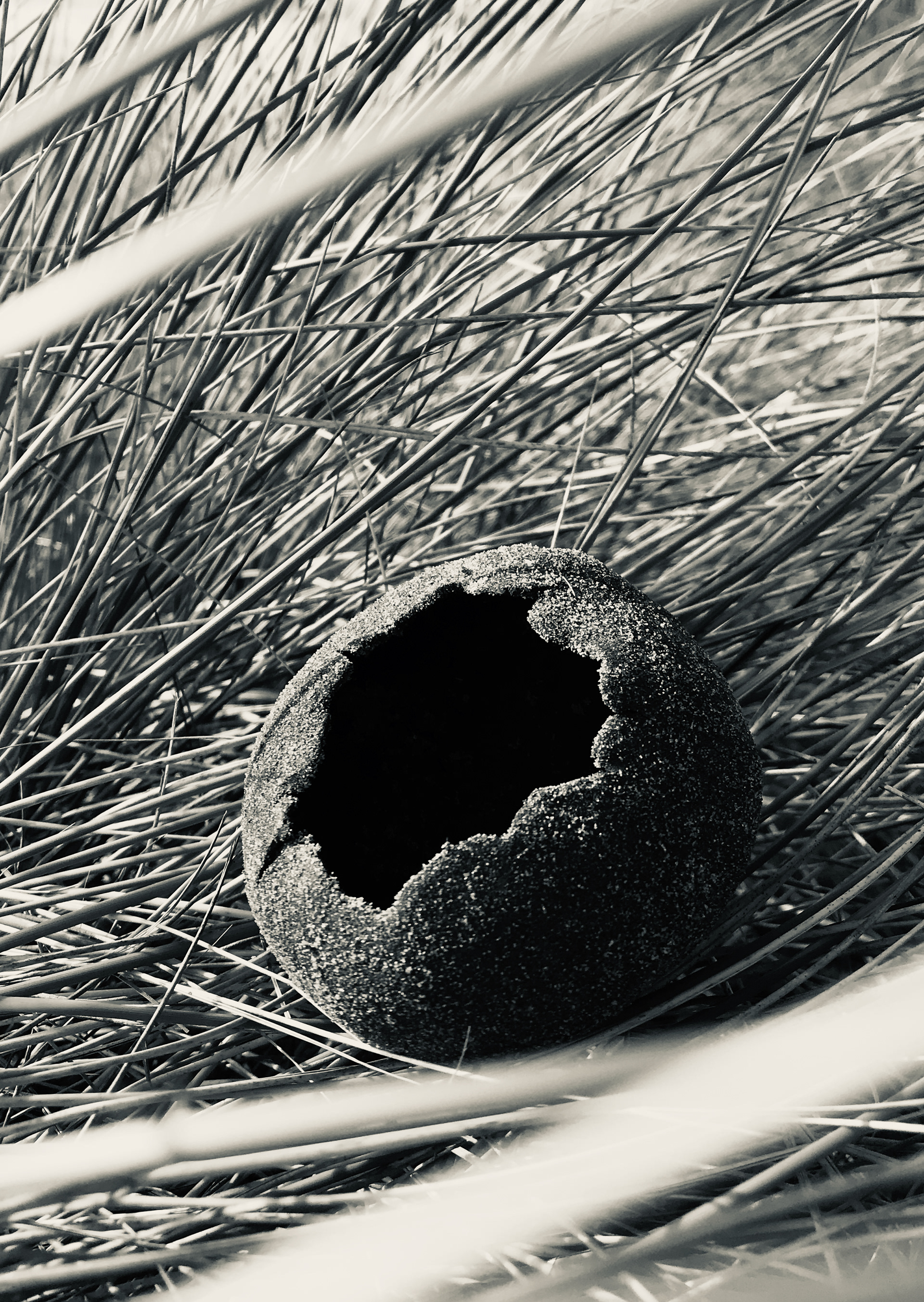 Exploring found materials : Ynyslas Pinch Pot