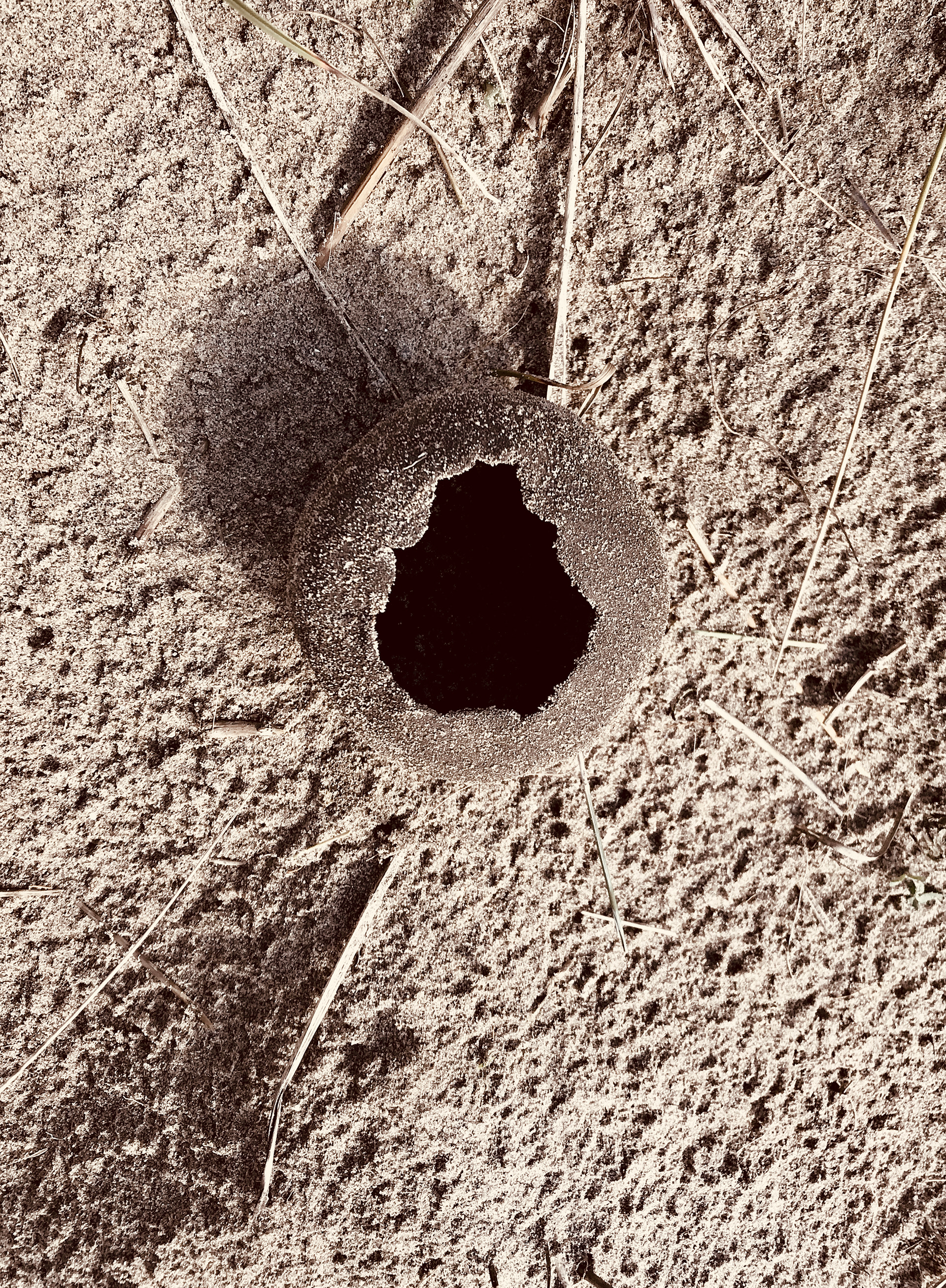 Exploring found materials : Ynyslas Pinch Pot