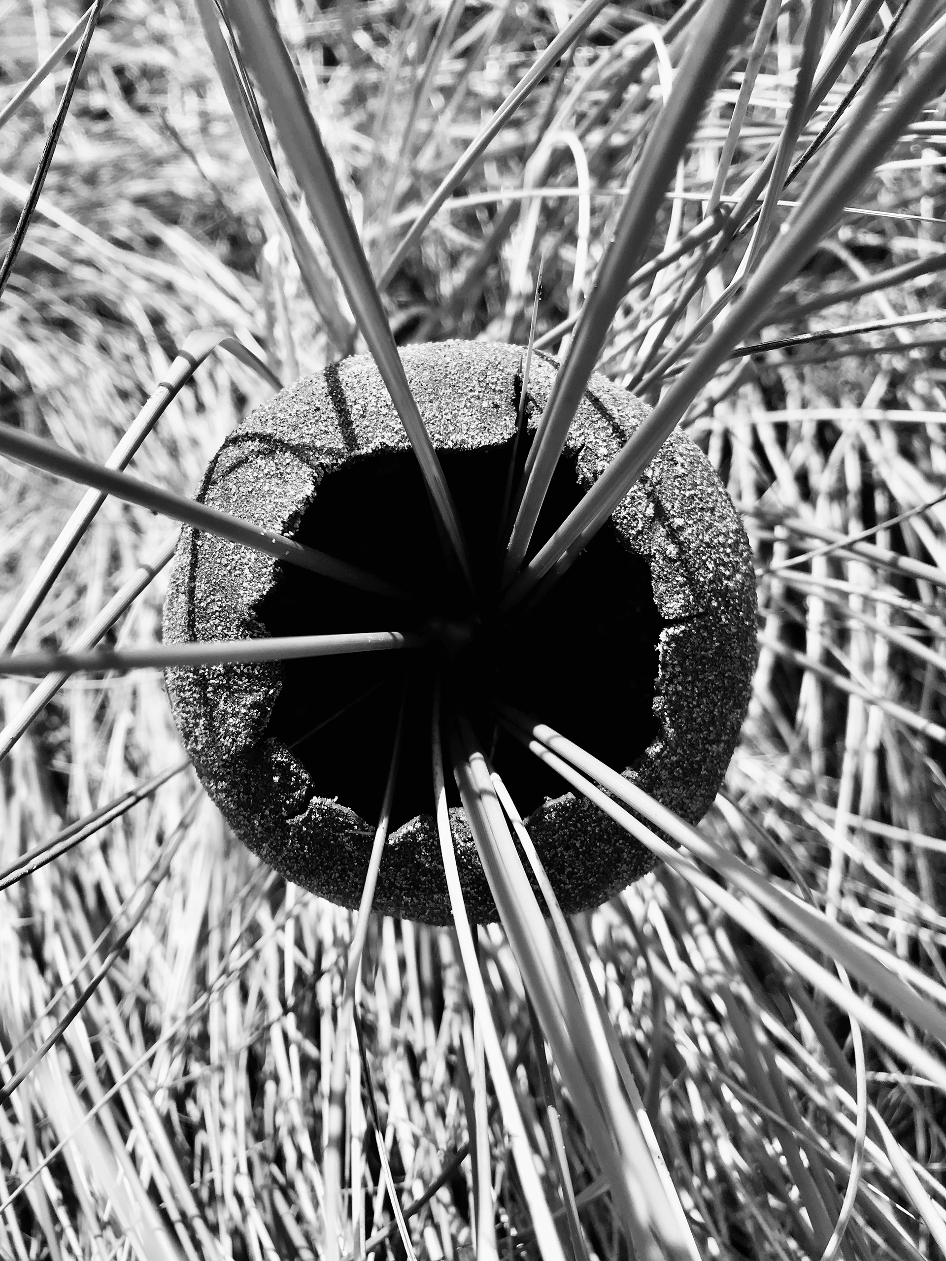 Exploring found materials : Ynyslas Pinch Pot