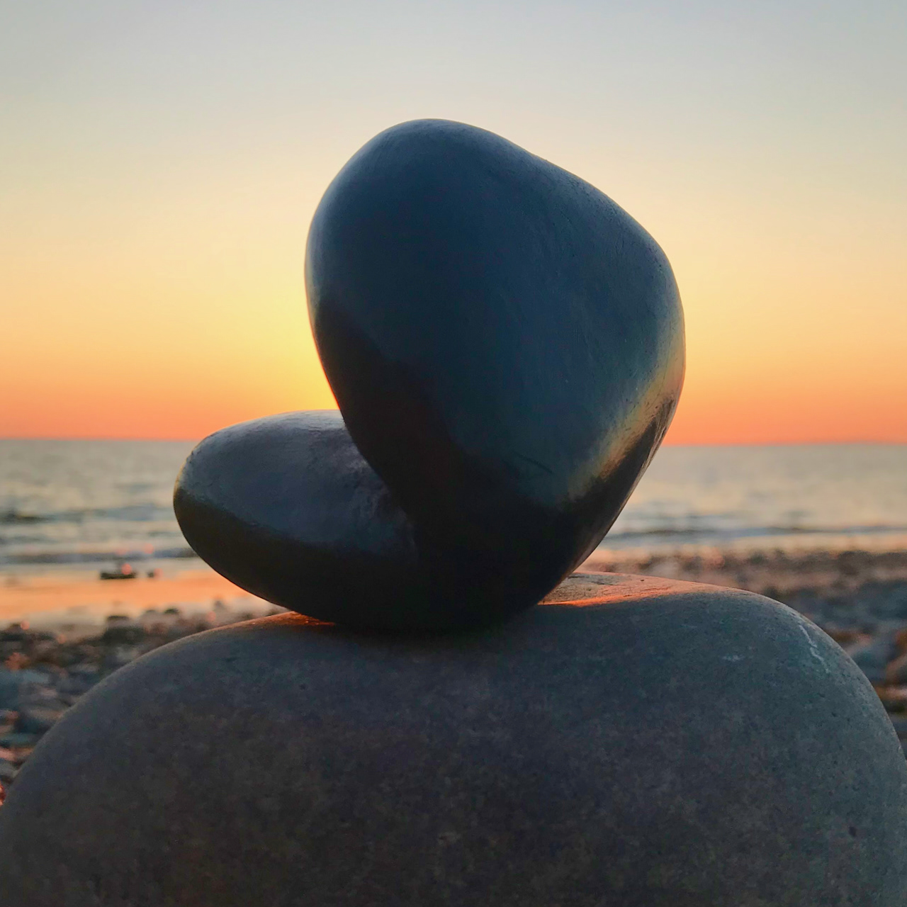 Ynyslas Knot #01
