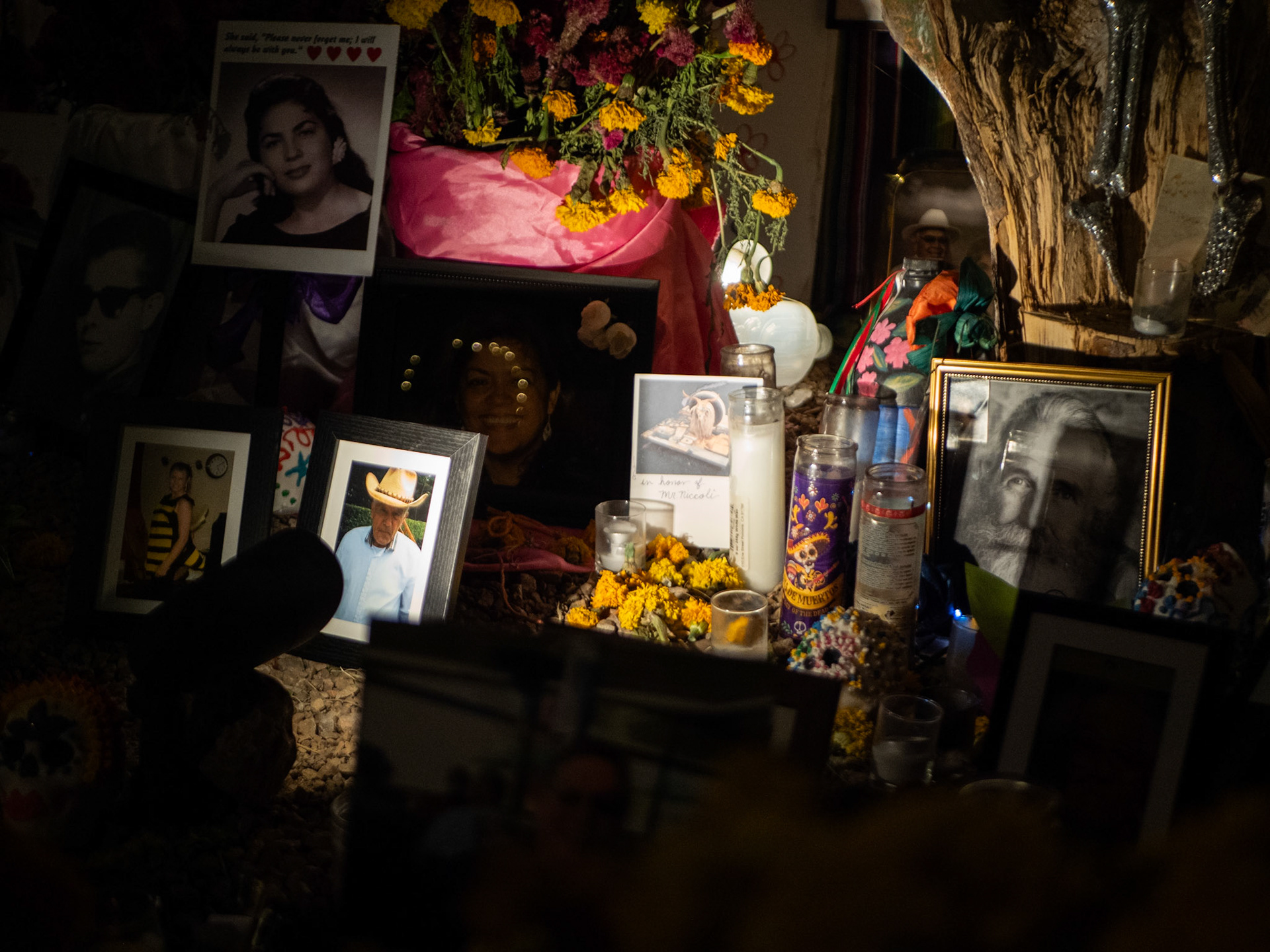 The Community Altar at the All Souls Procession on November 5, 2023, in Tucson Arizona. The Photos included in the murals included all types of people, of different ages, and from recent or long ago.