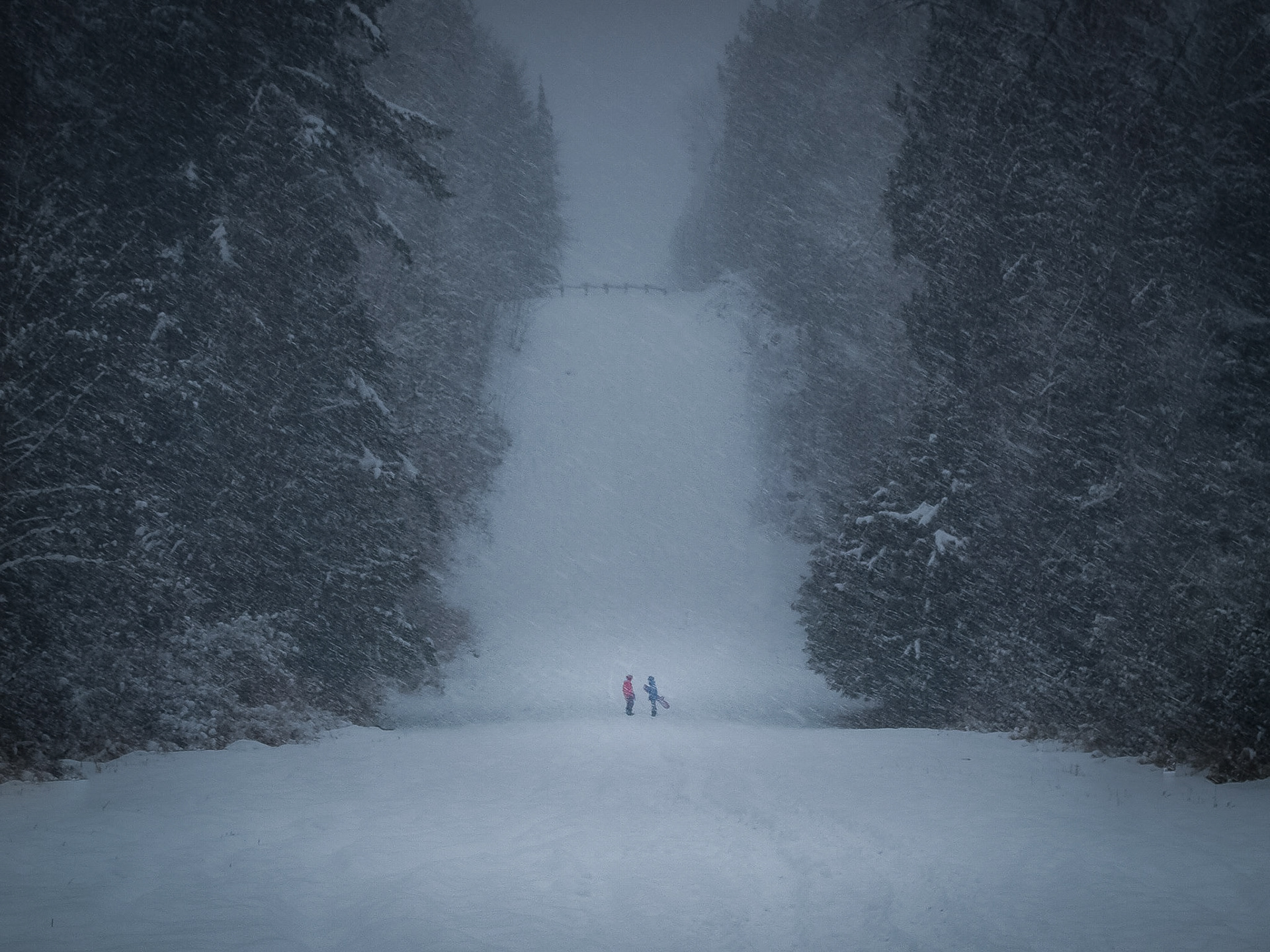 Brothers in a Snowstorm