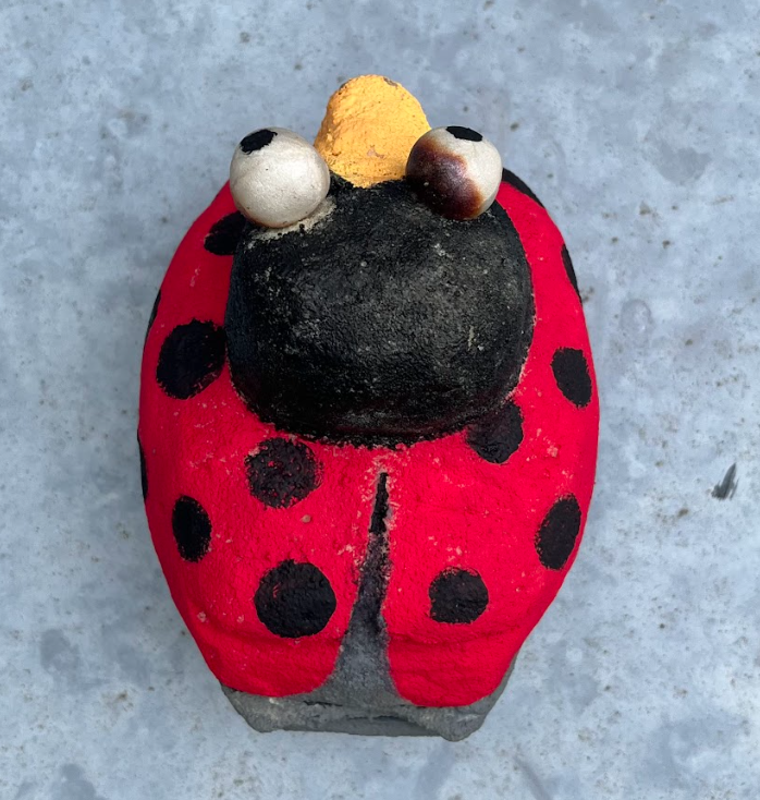 Ladybird (2022)