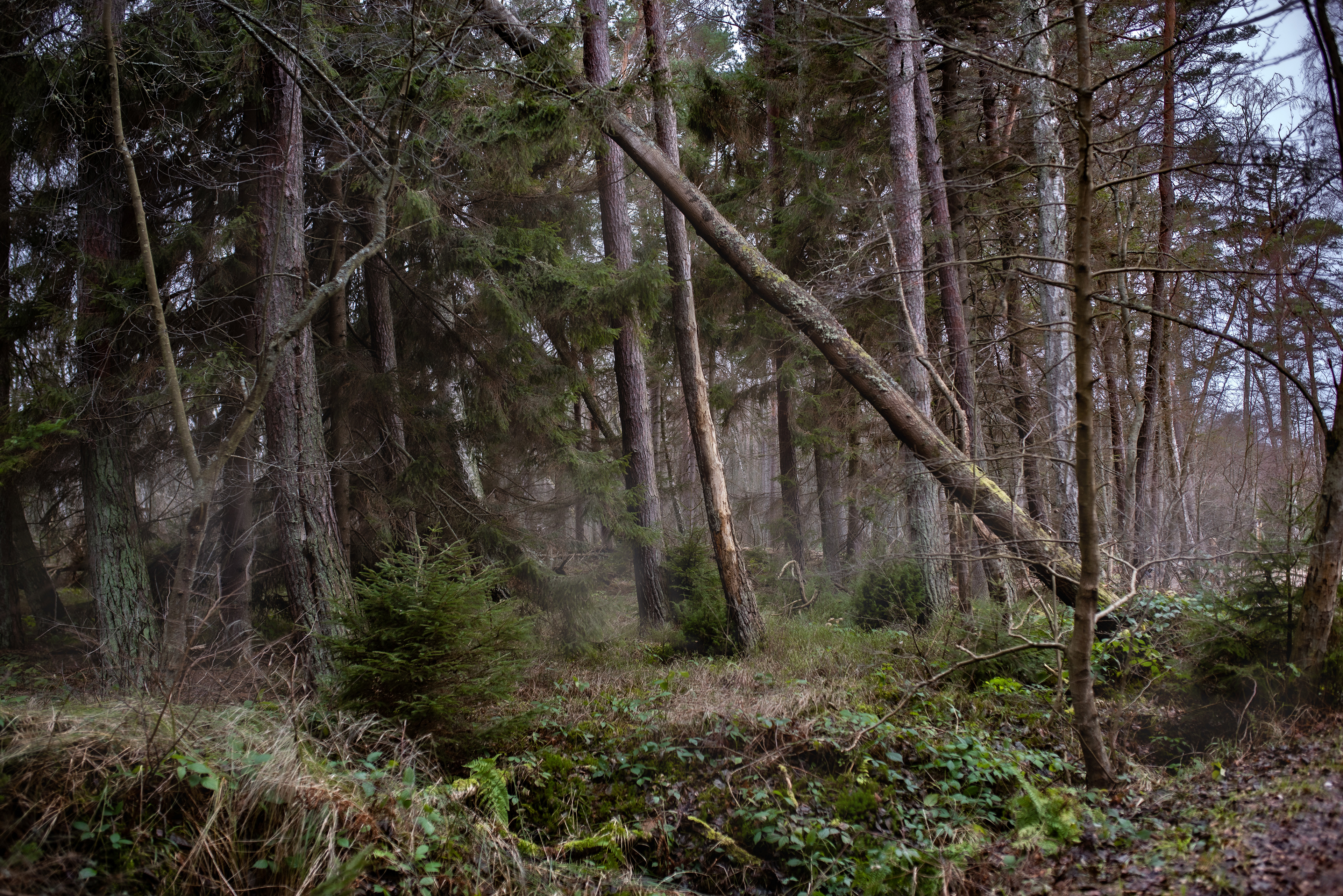 SŁOWIŃSKI PARK NARODWY, POLSKA