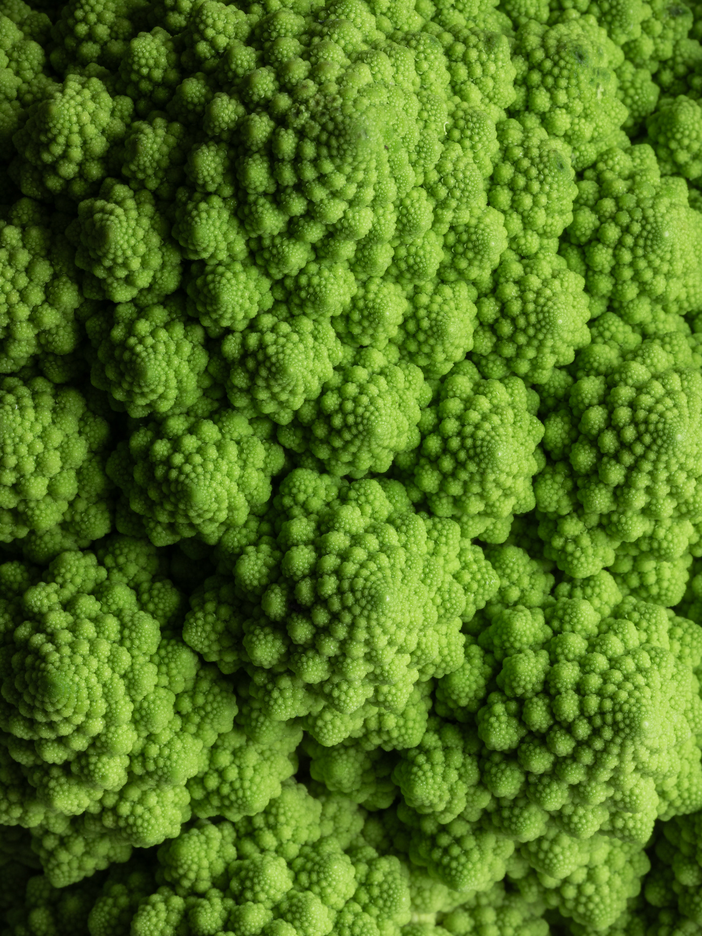 Macro photography of a romanesco broccoli captured by Ioana Ursu Food Photographer Cotswolds