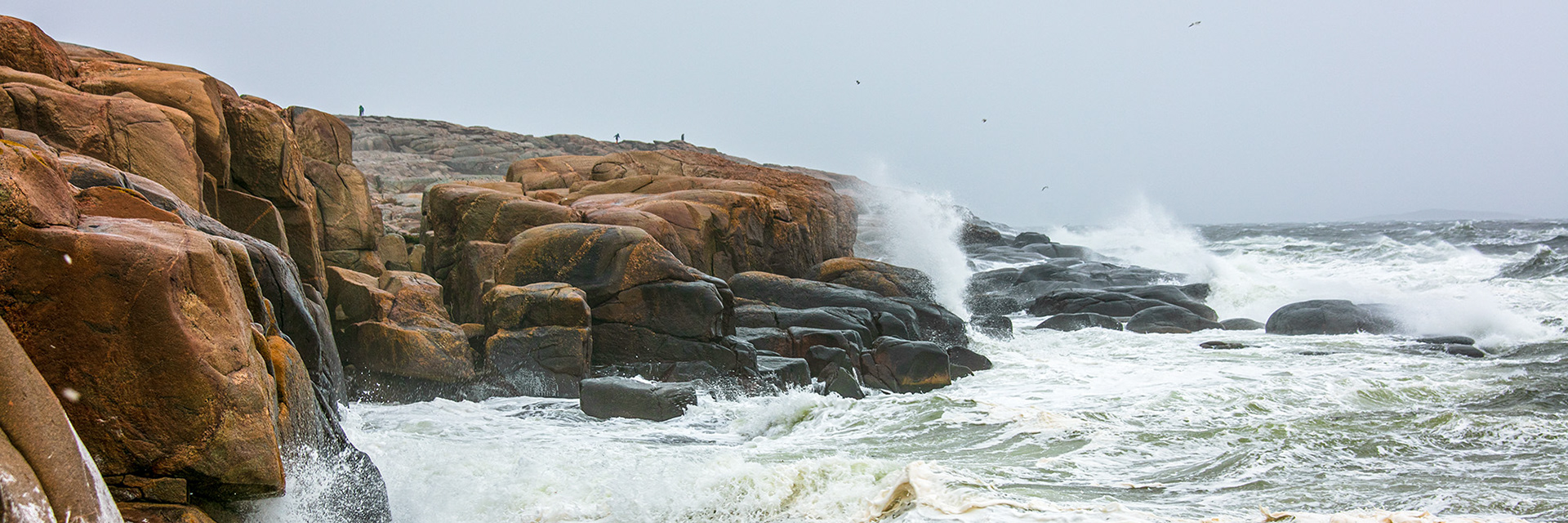 S611_Vikerodden, Hvaler_Stormen Dave