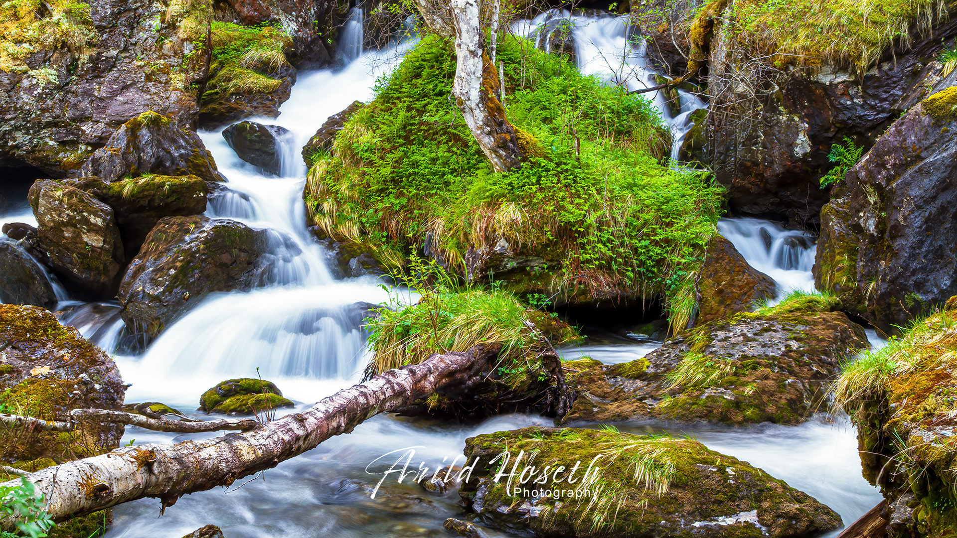 L320 - Vilt og vakkert, Flåm
