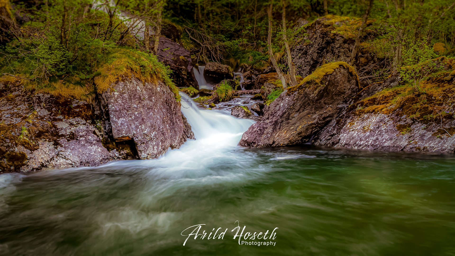 L316 - Elvemunning - Flåm