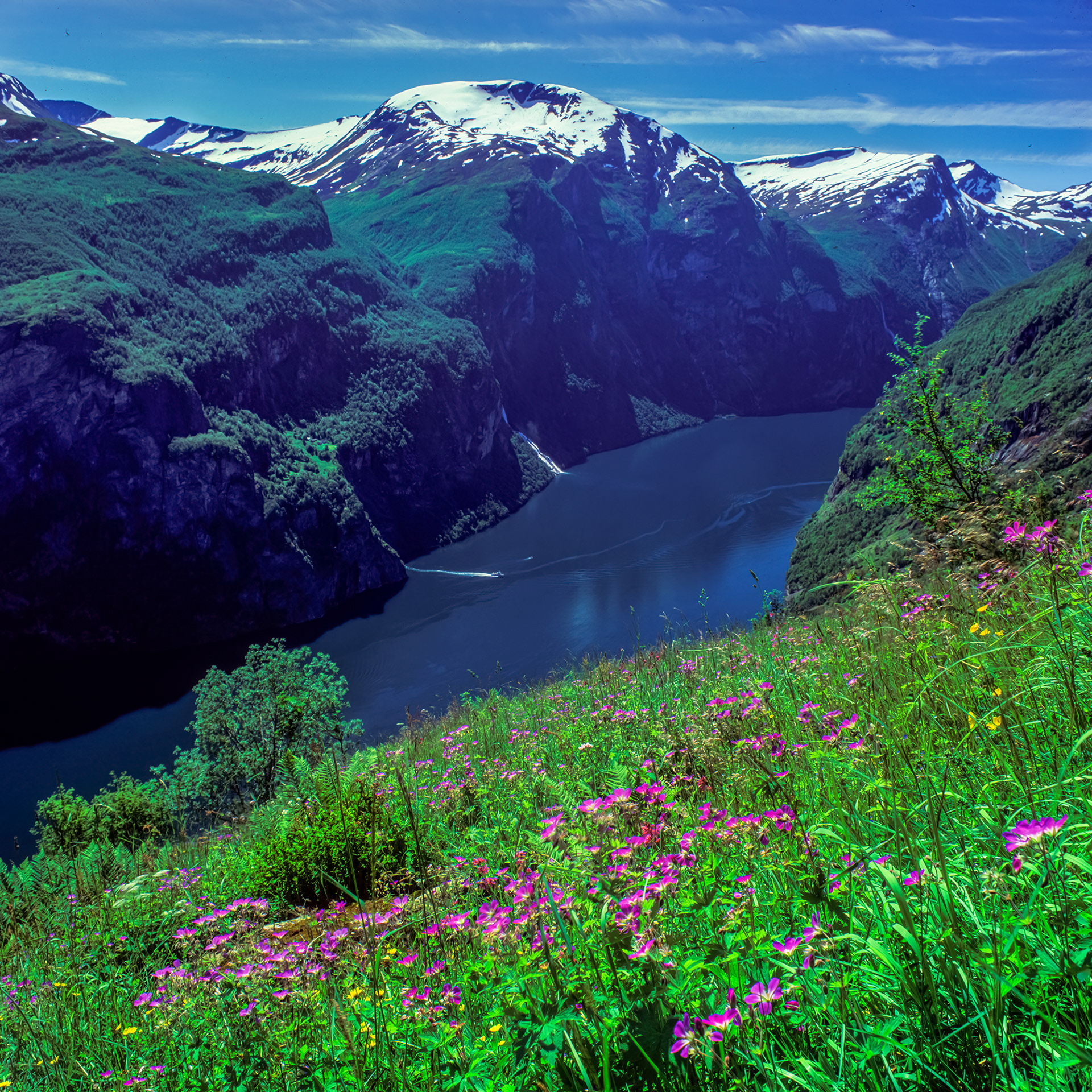 L6404 Geirangerfjorden