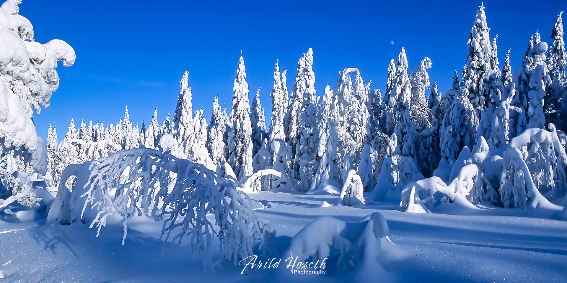 L1015 - Vinterdag i Nordmarka