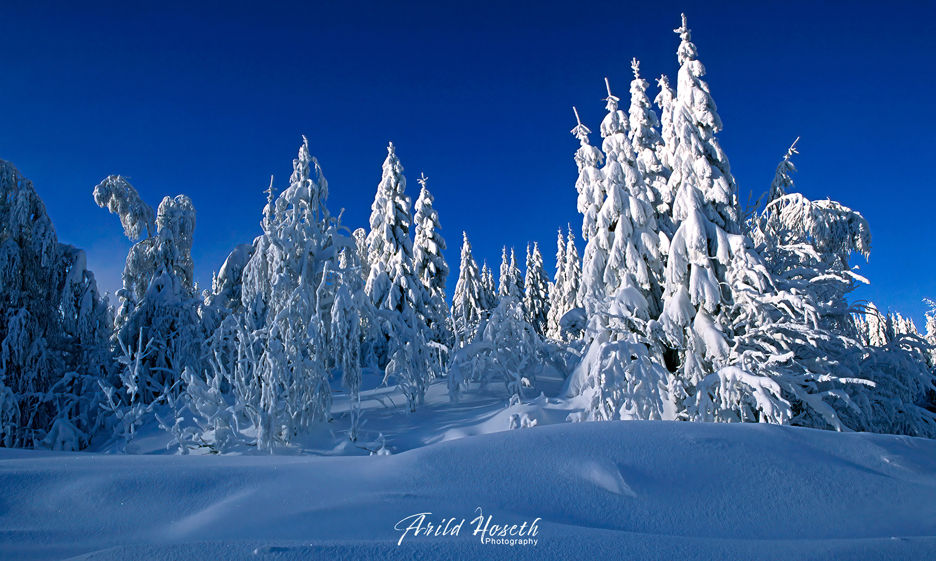 L1011 - Vinter i Nordmarka