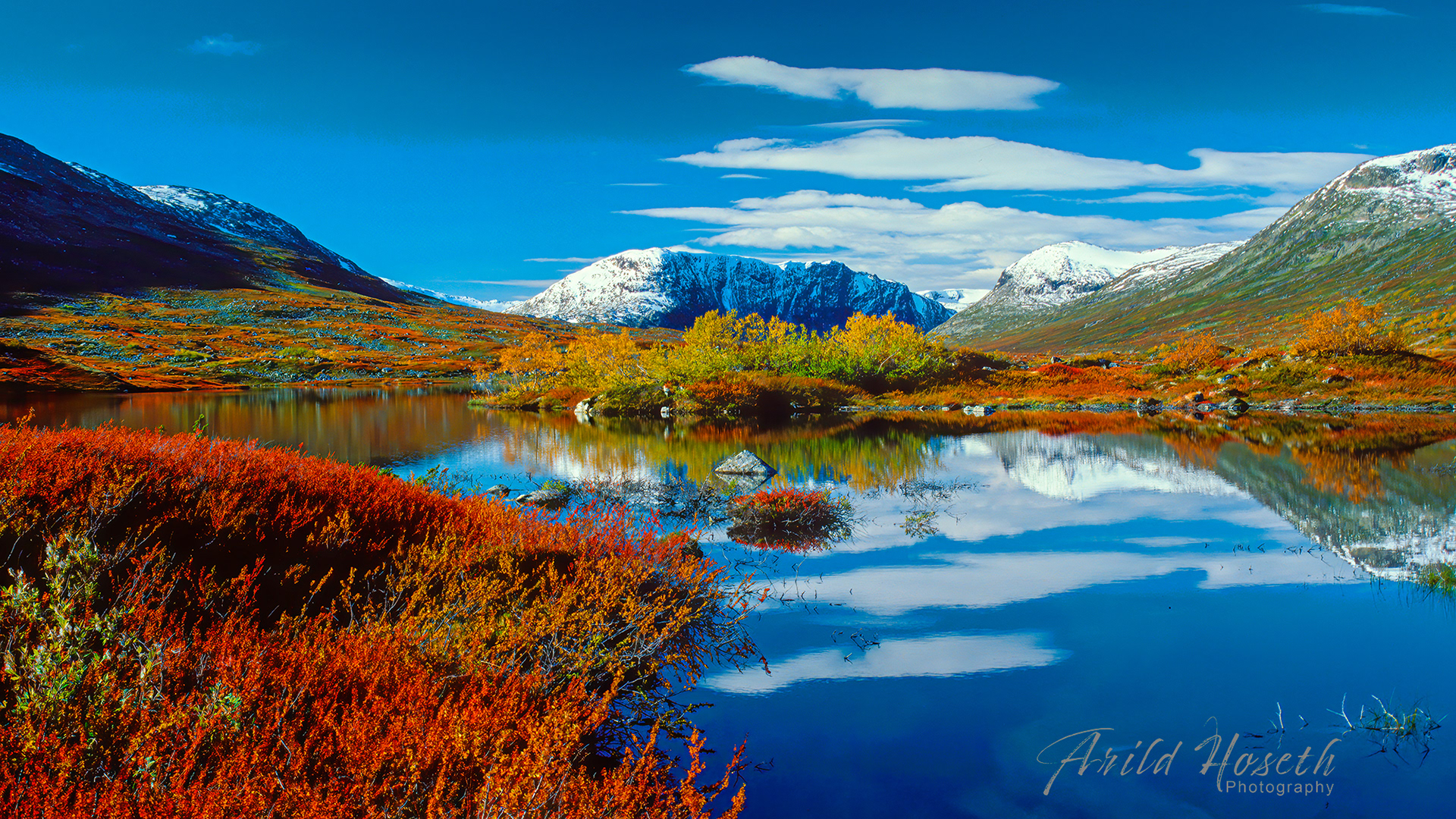 L5822 - Høst på Strynefjellet