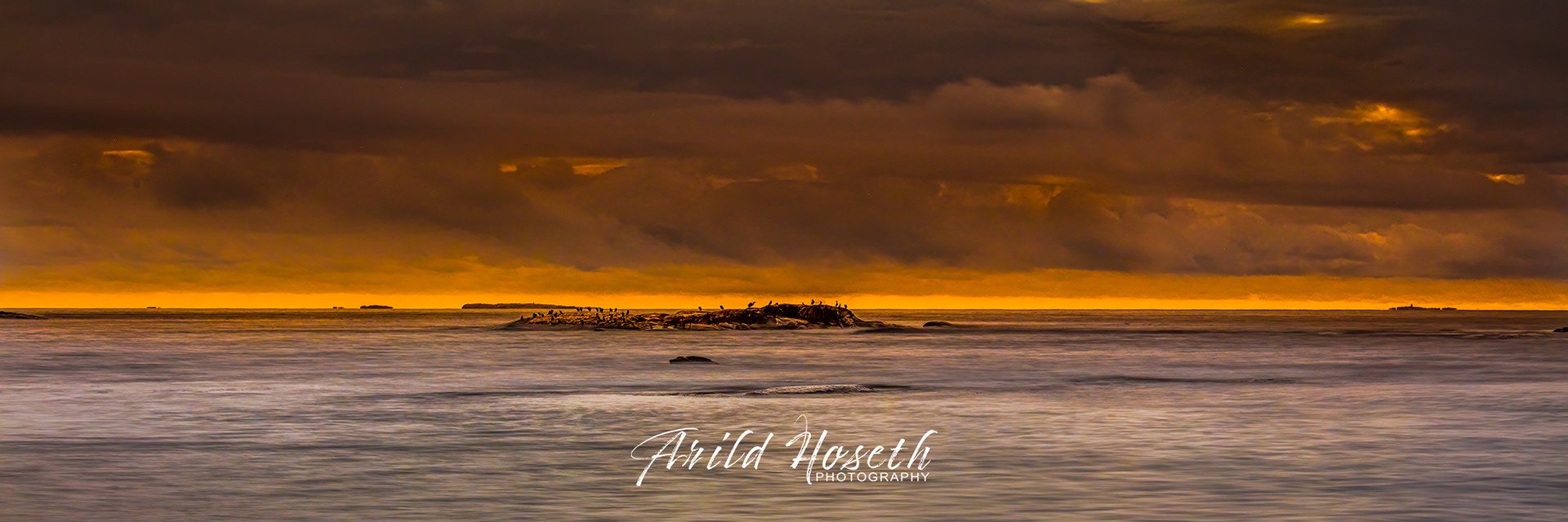 S9933_Skarv - Hvaler