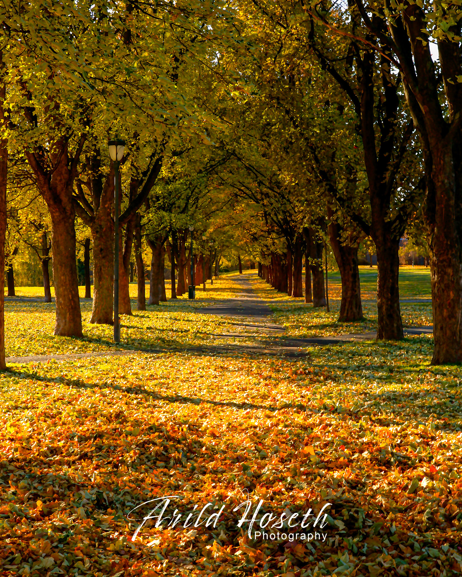 L110 Vigelandsparken