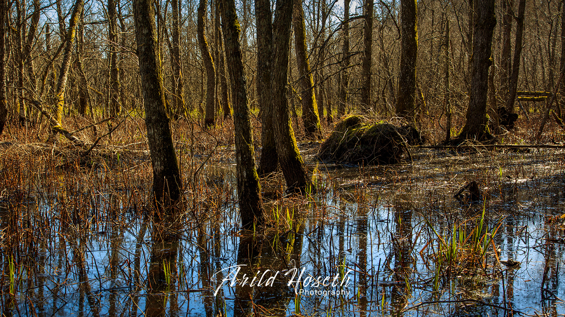 A9453 - Svartskog - Sump