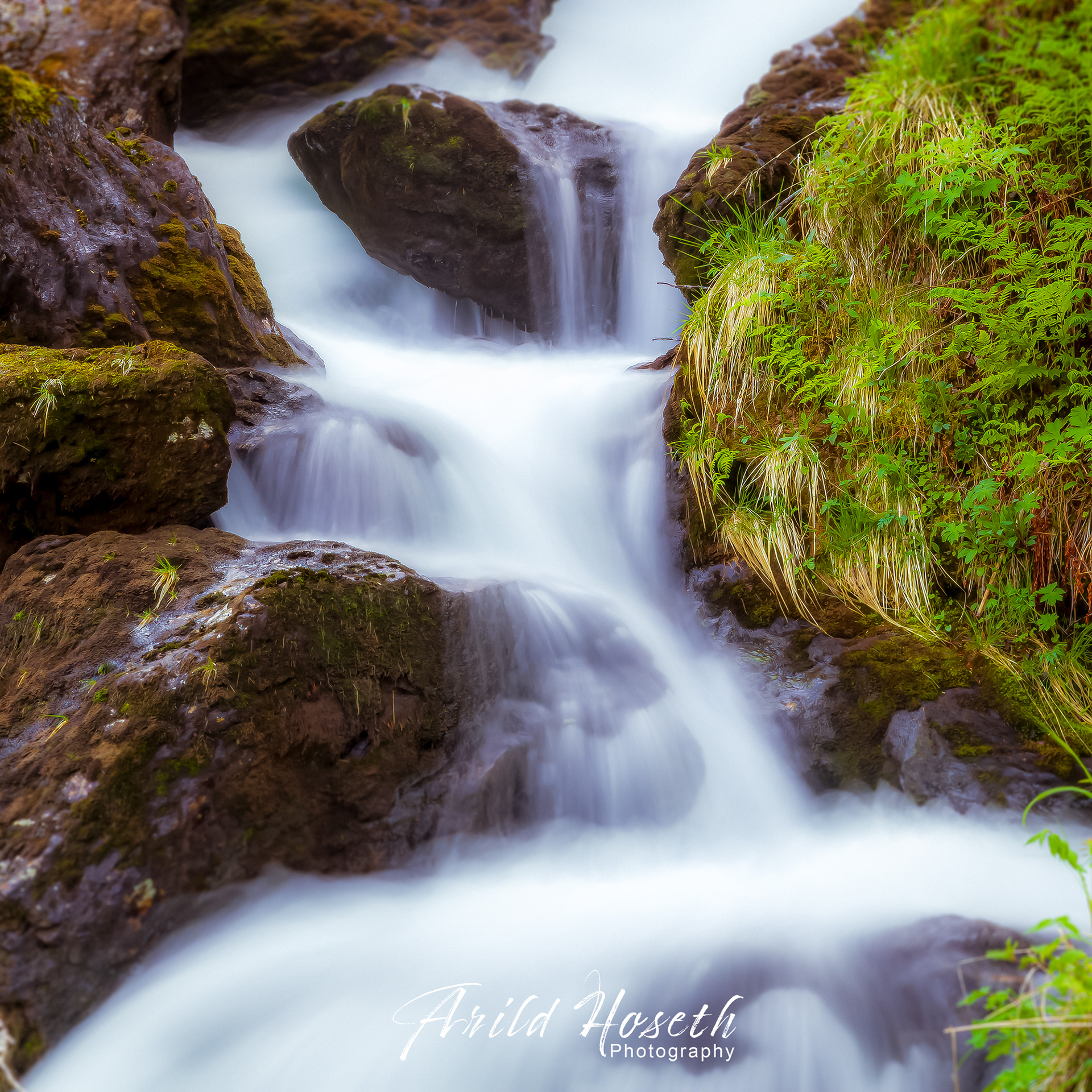 L319 - Rent vann Flåm