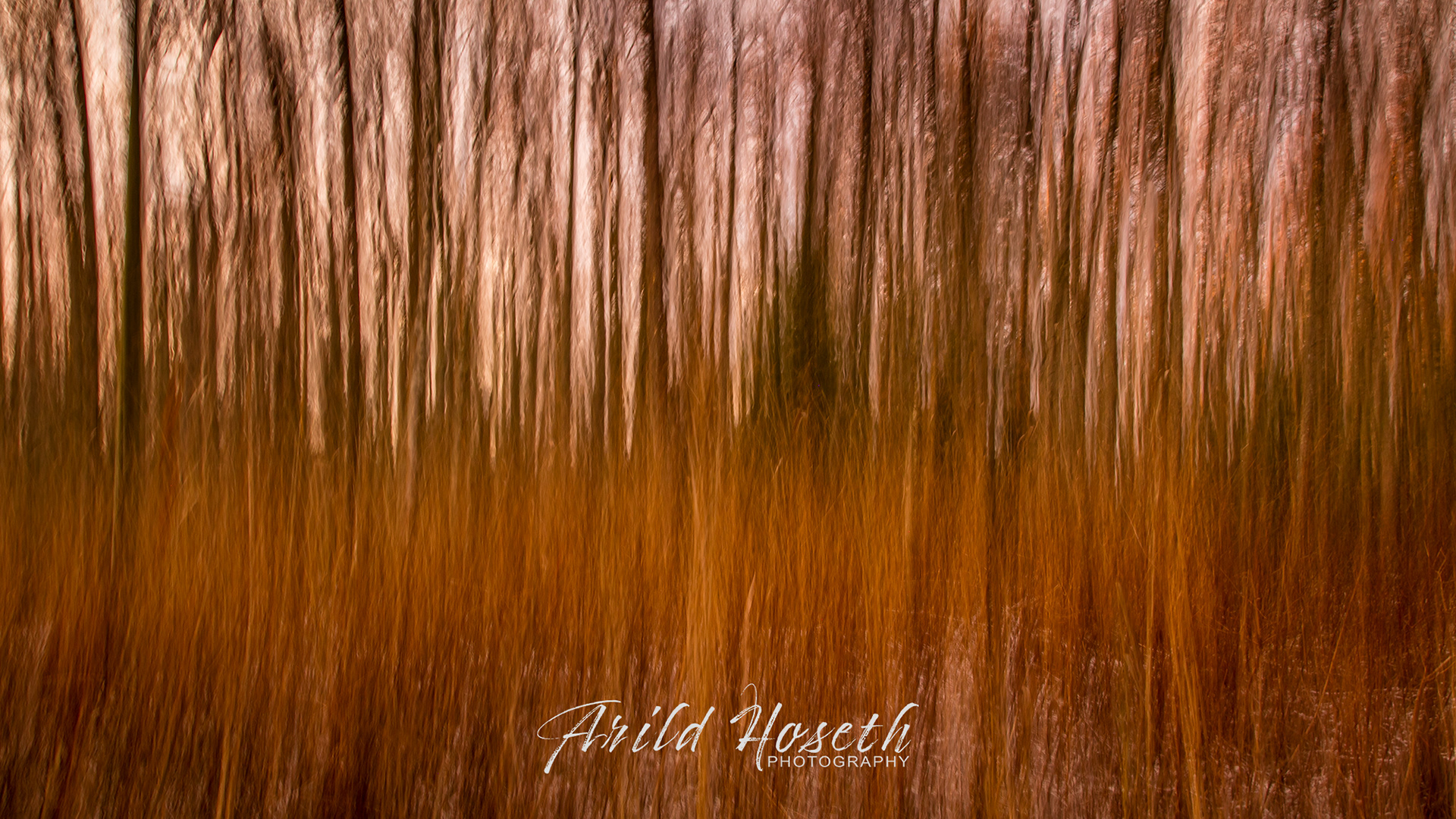 N286_Svartskog- Abstrakt