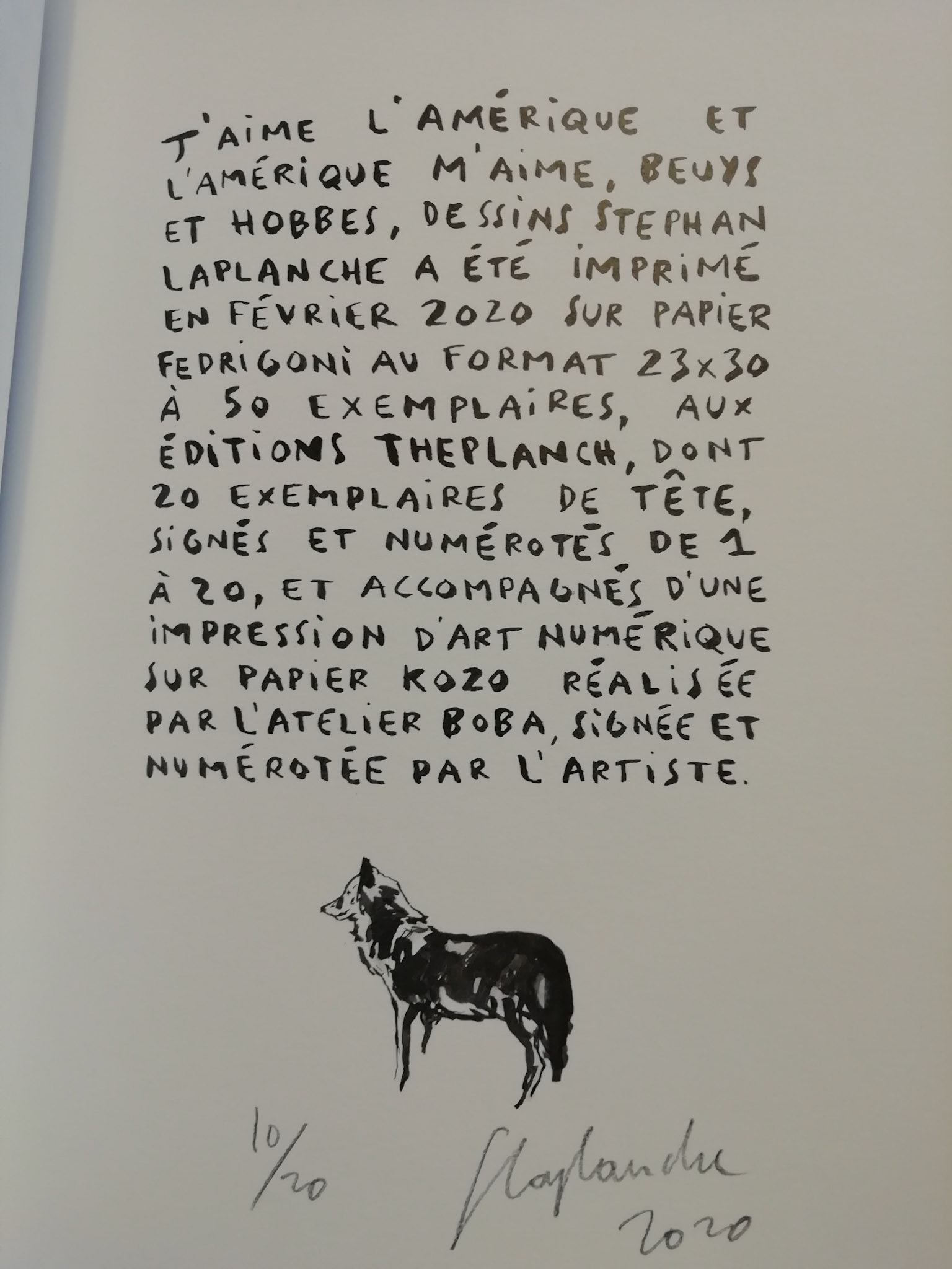 J'aime l'Amérique et l'Amérique m'aime - 2020