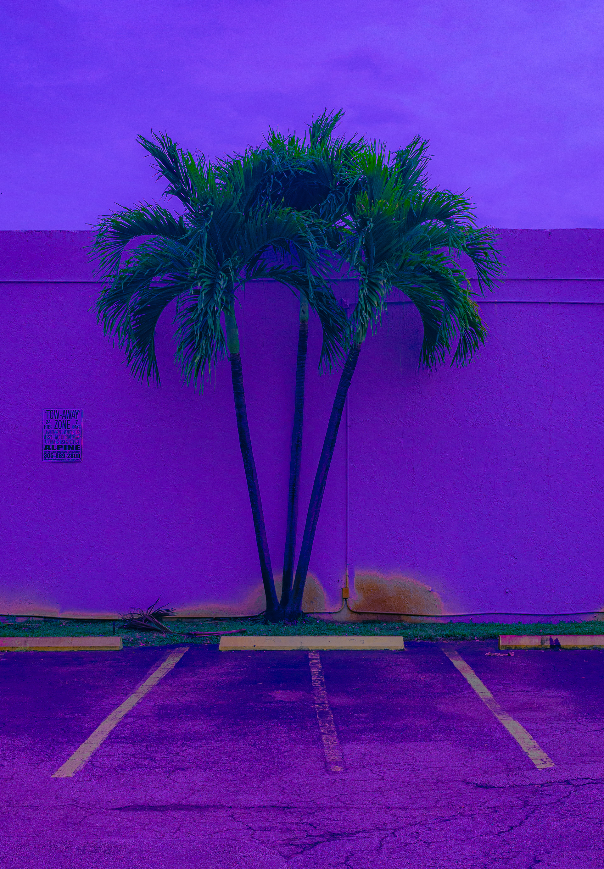 miami vibes
