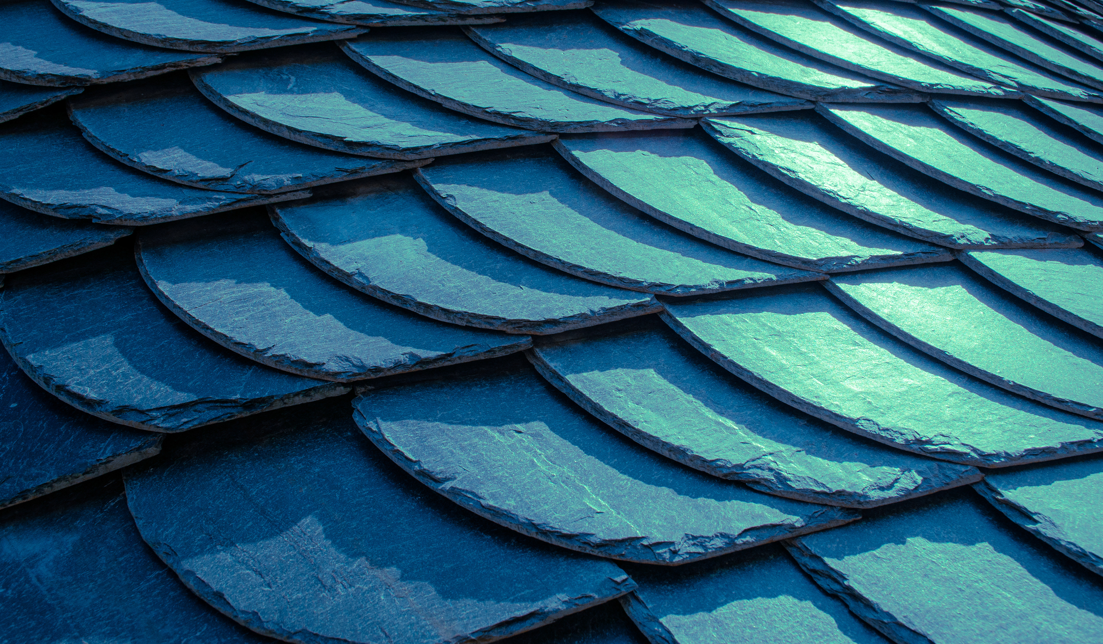 biomimicry