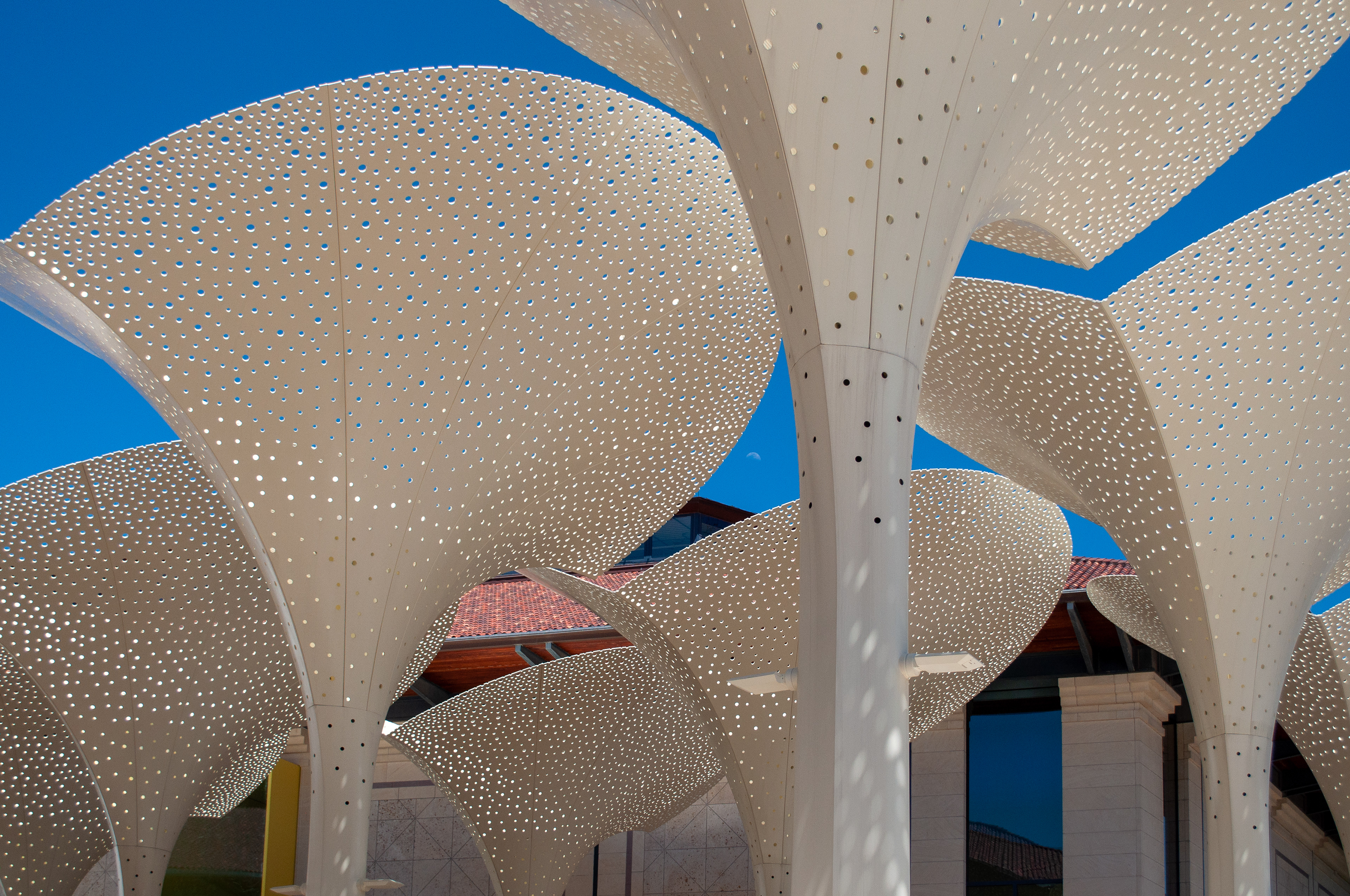 biomimicry 2