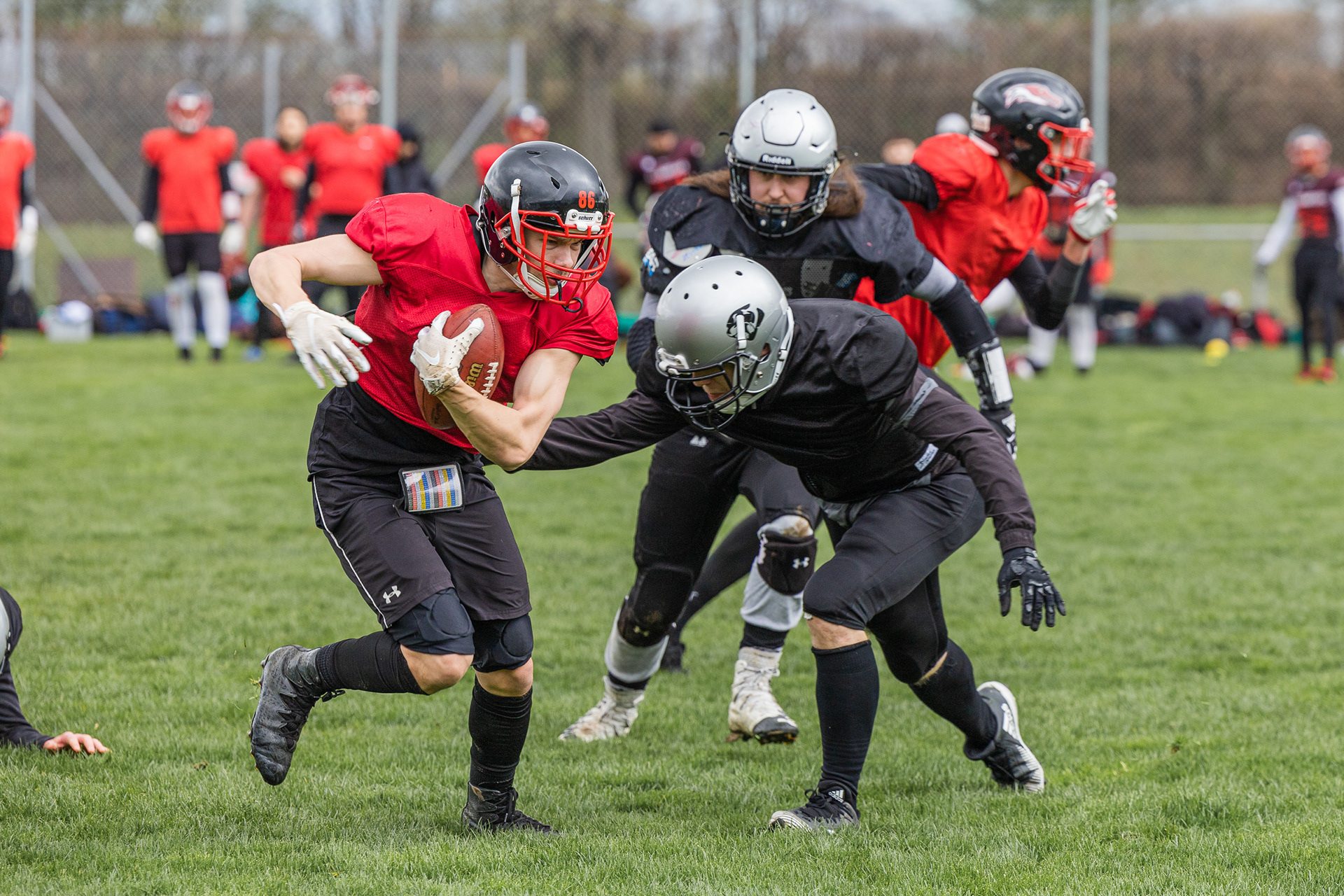 Scrimmage, Cougars Kornwesteim