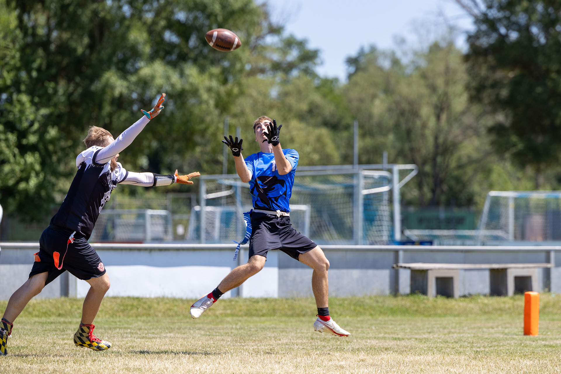 DFFL2, Cougars Kornwestheim Flag-Football
