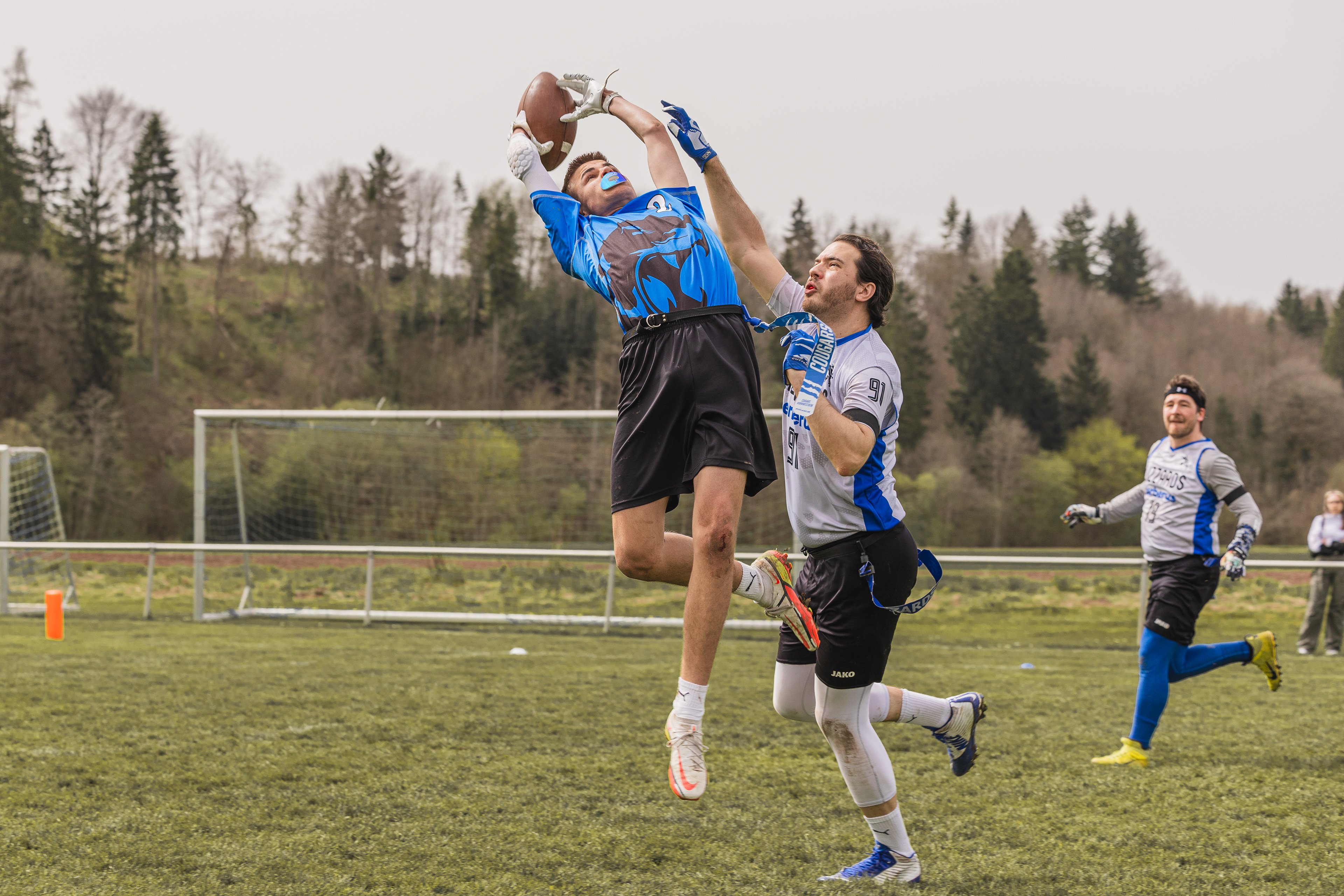 DFFL2 (2024), Cougars Kornwestheim Flag-Football