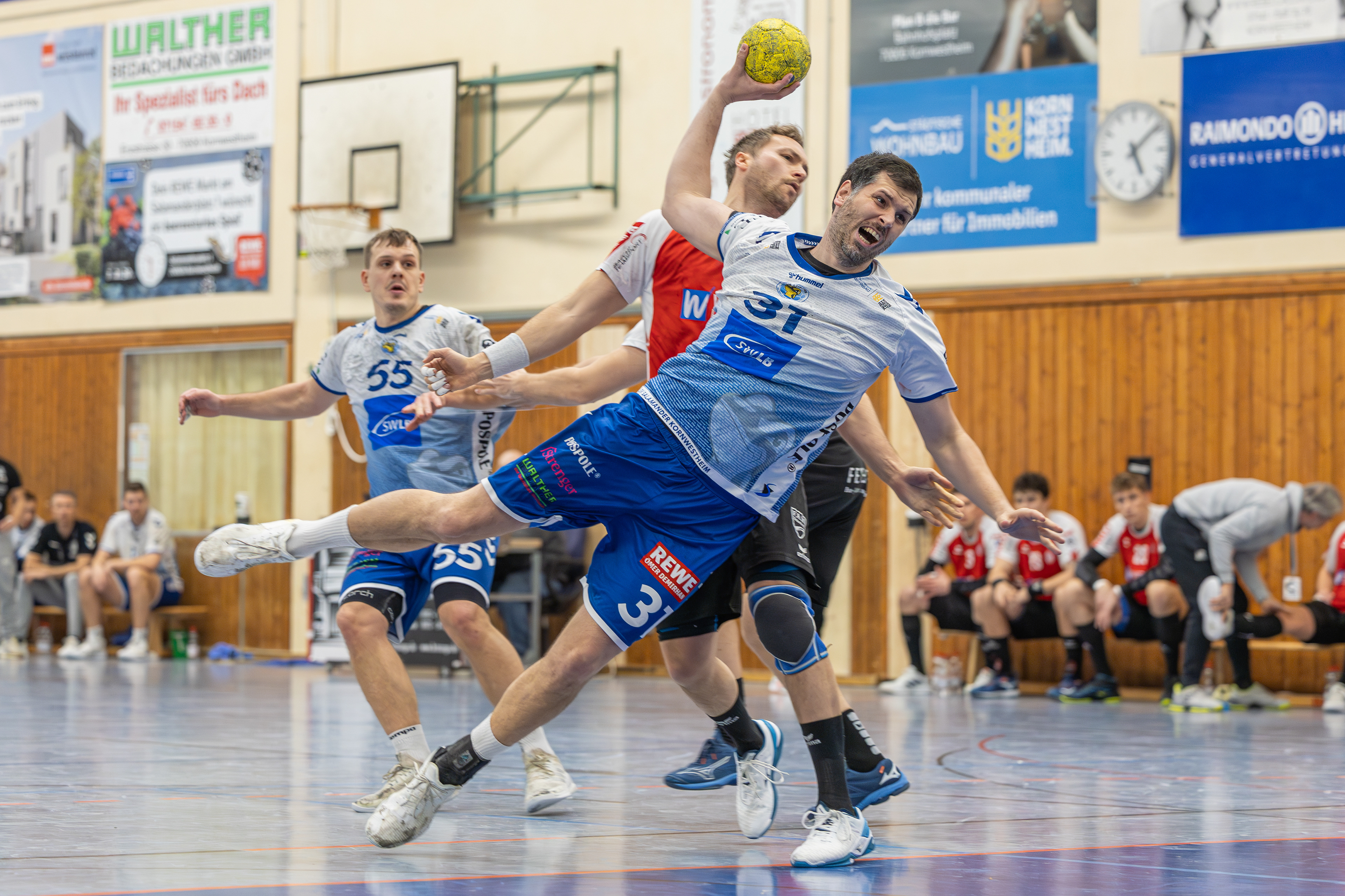 3. Liga, SV Kornwestheim