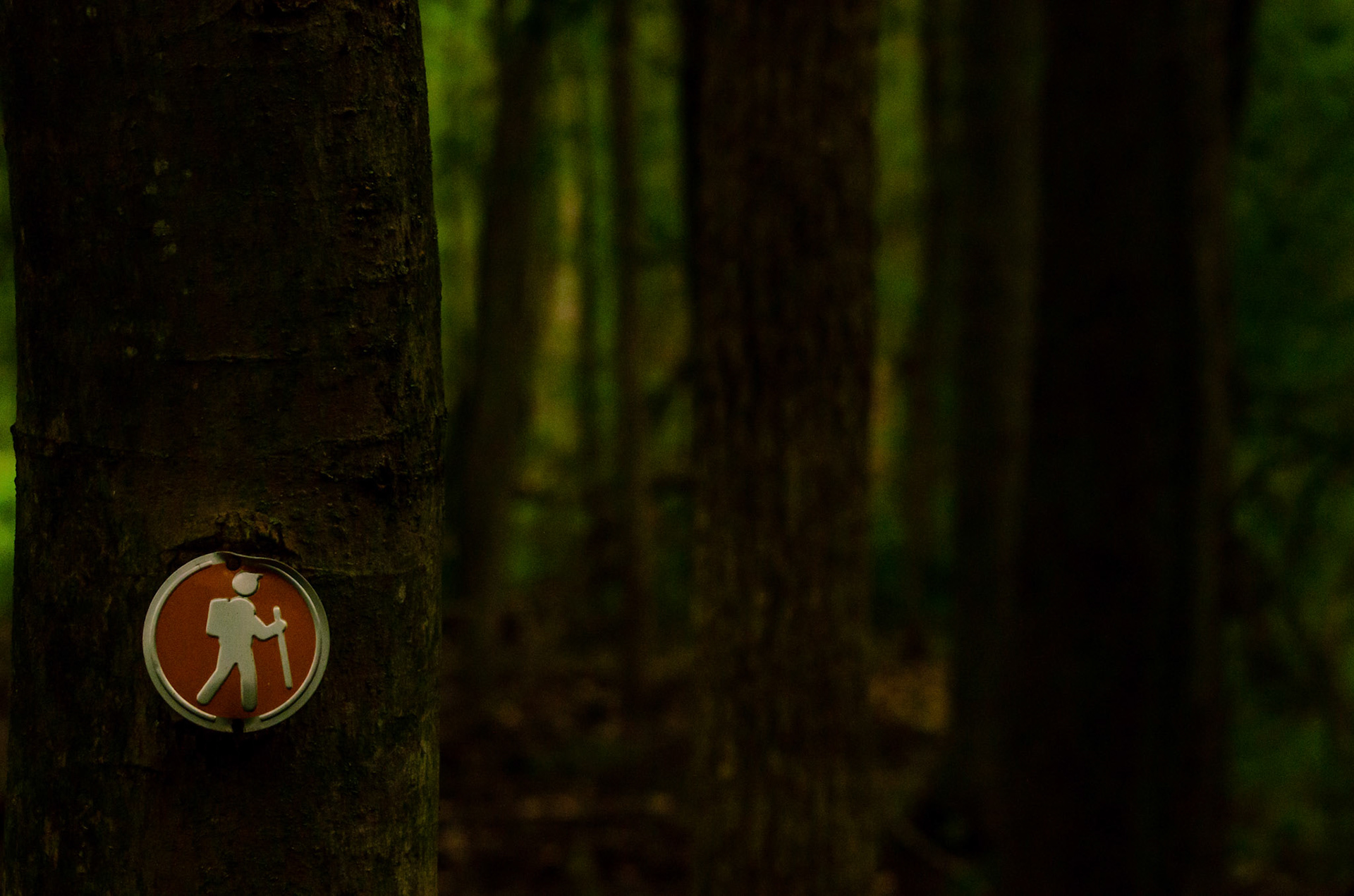 September 6th, 2020: Visited Eagle Marsh Nature Preserve in Fort Wayne Indiana.