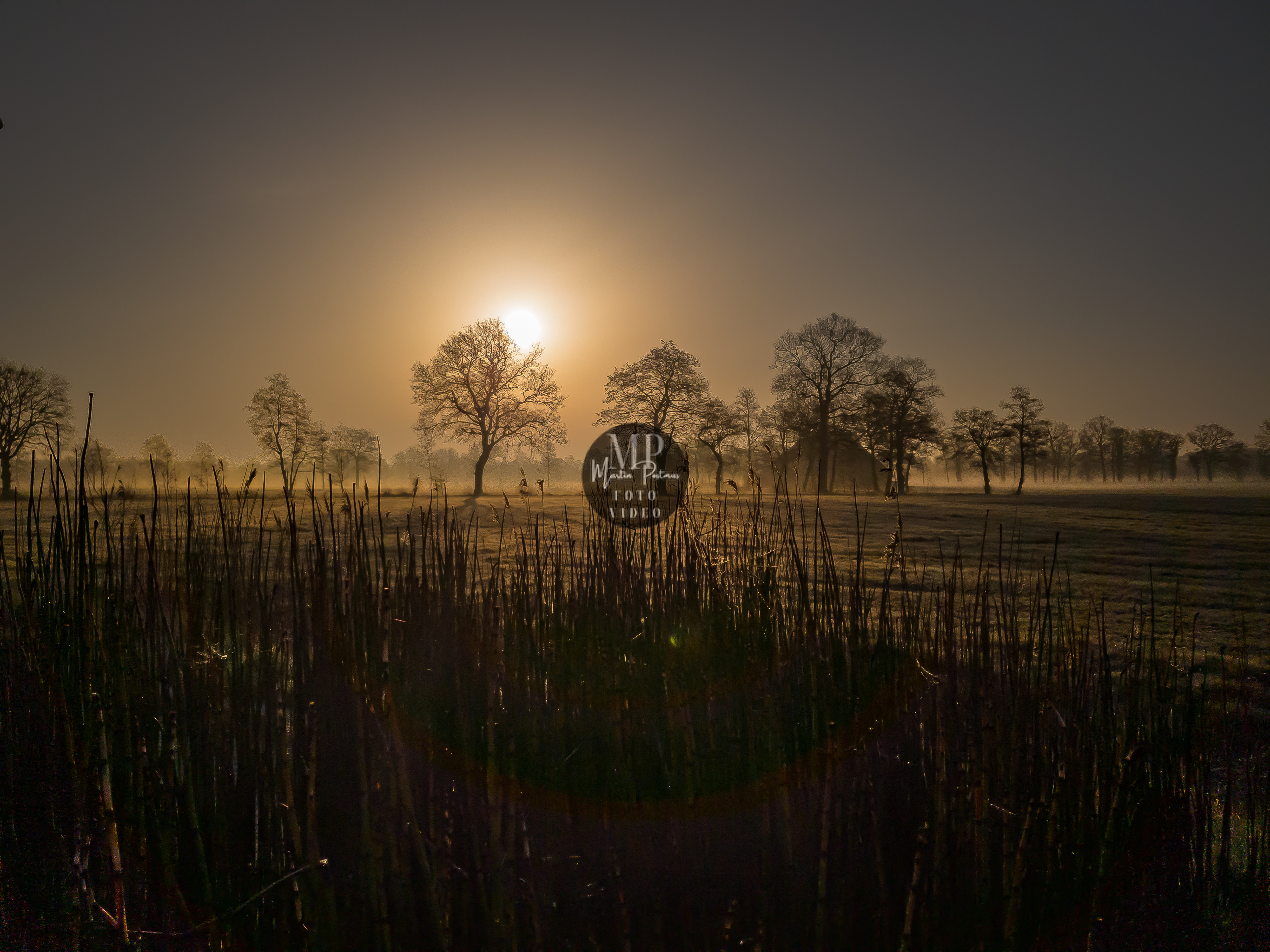 Zonsopkomst Leek