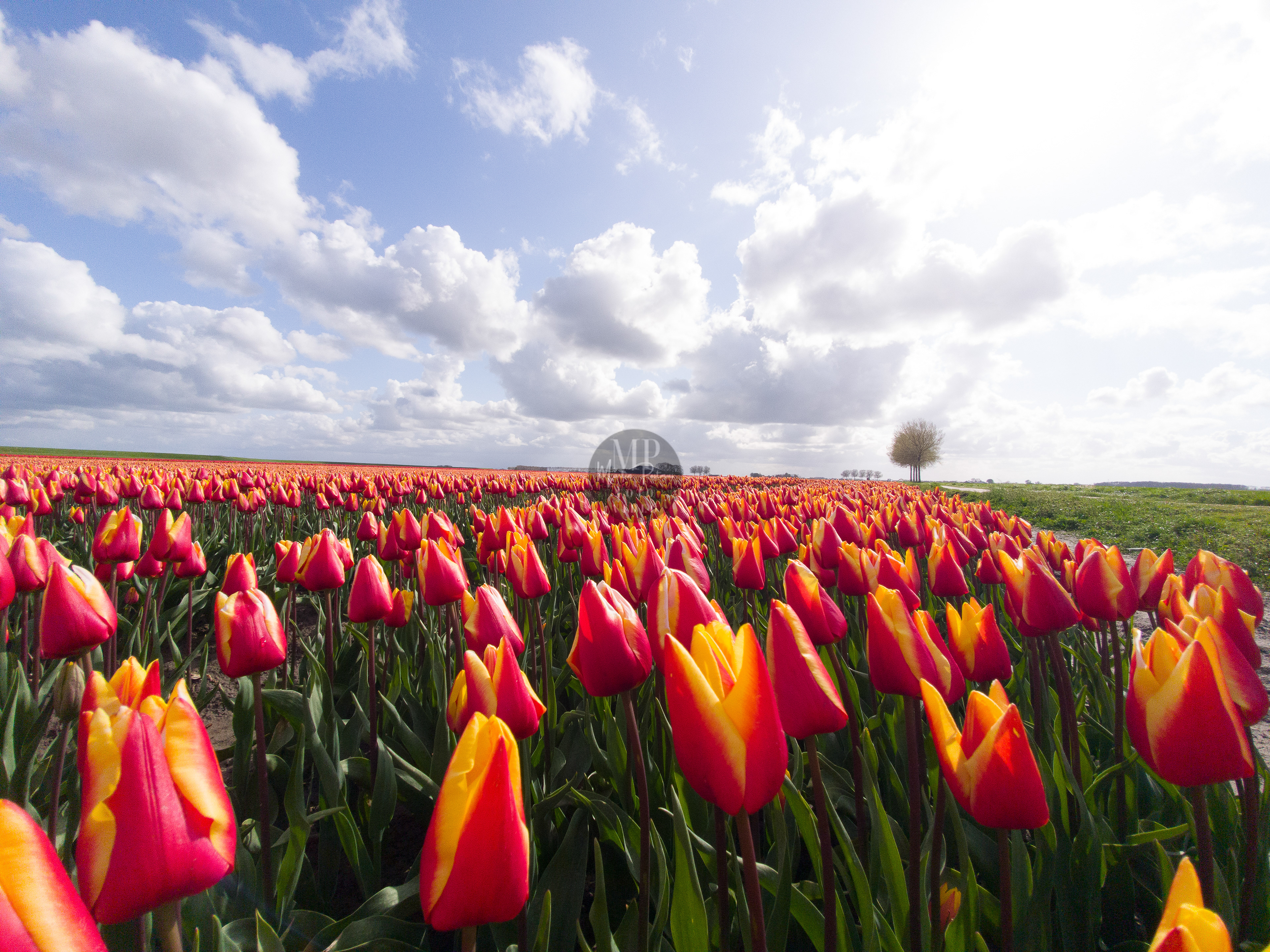 Mei Johannes Kerkhovenpolder
