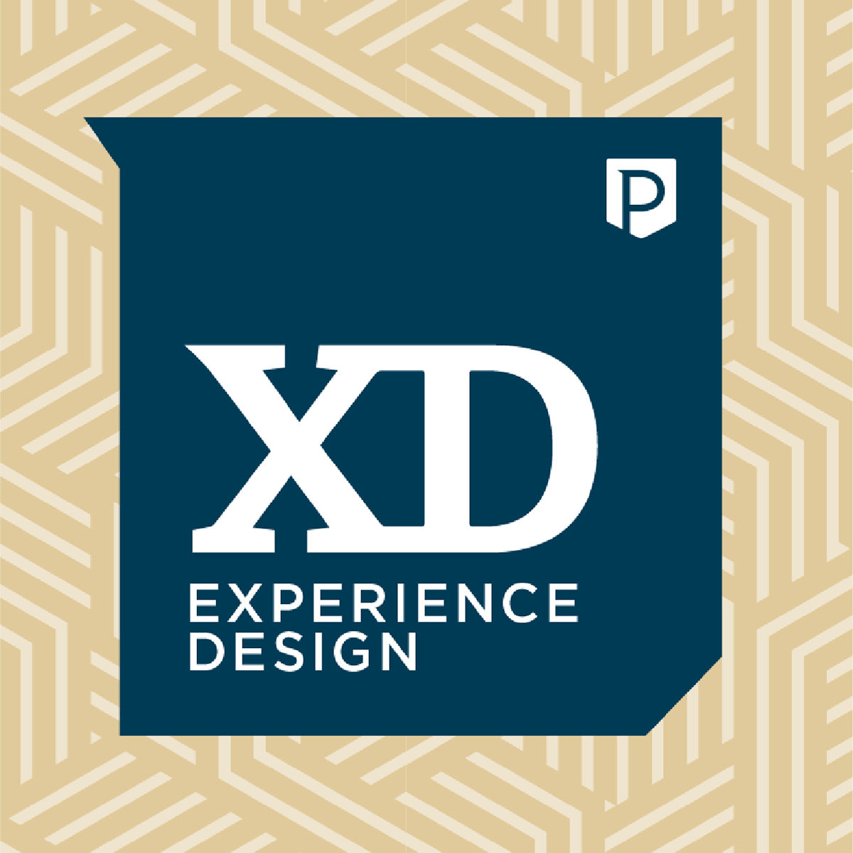 Experience Design Series