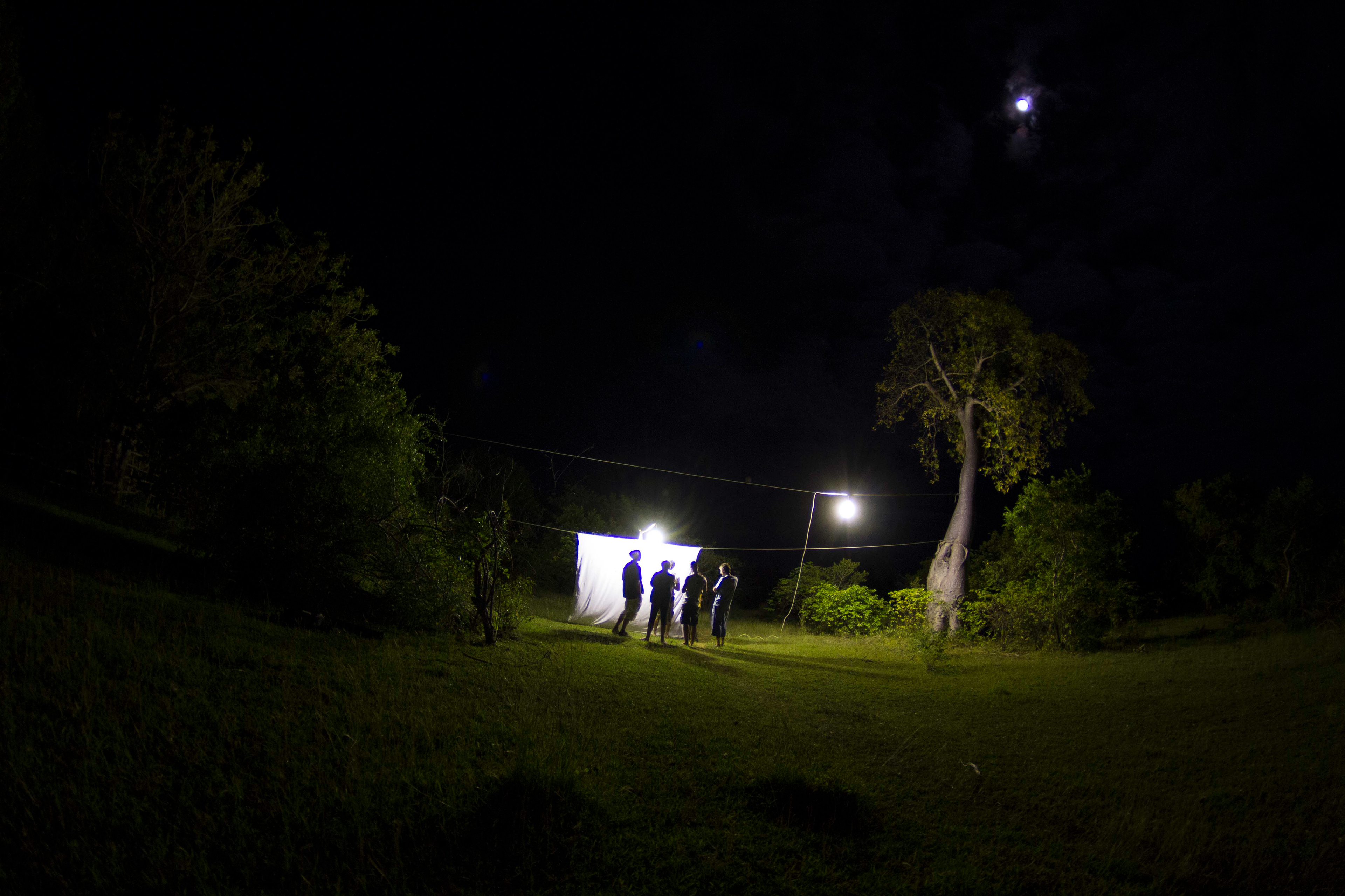 MONTAGNE DES FRANCAIS, JUNGLE PARC, INSTALLATION TEMPORAIRE