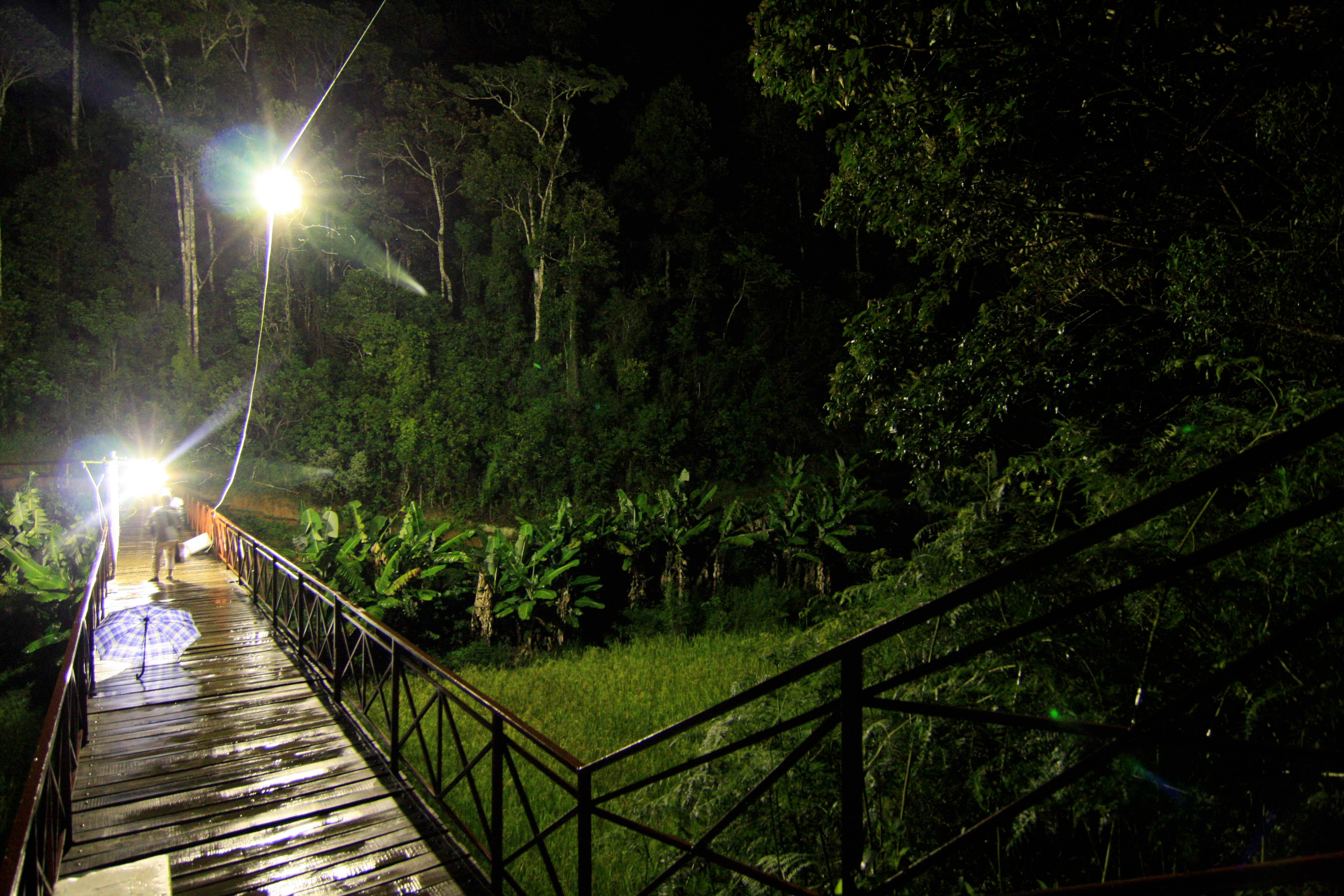 ANJOZOROBE, INSTALLATION TEMPORAIRE