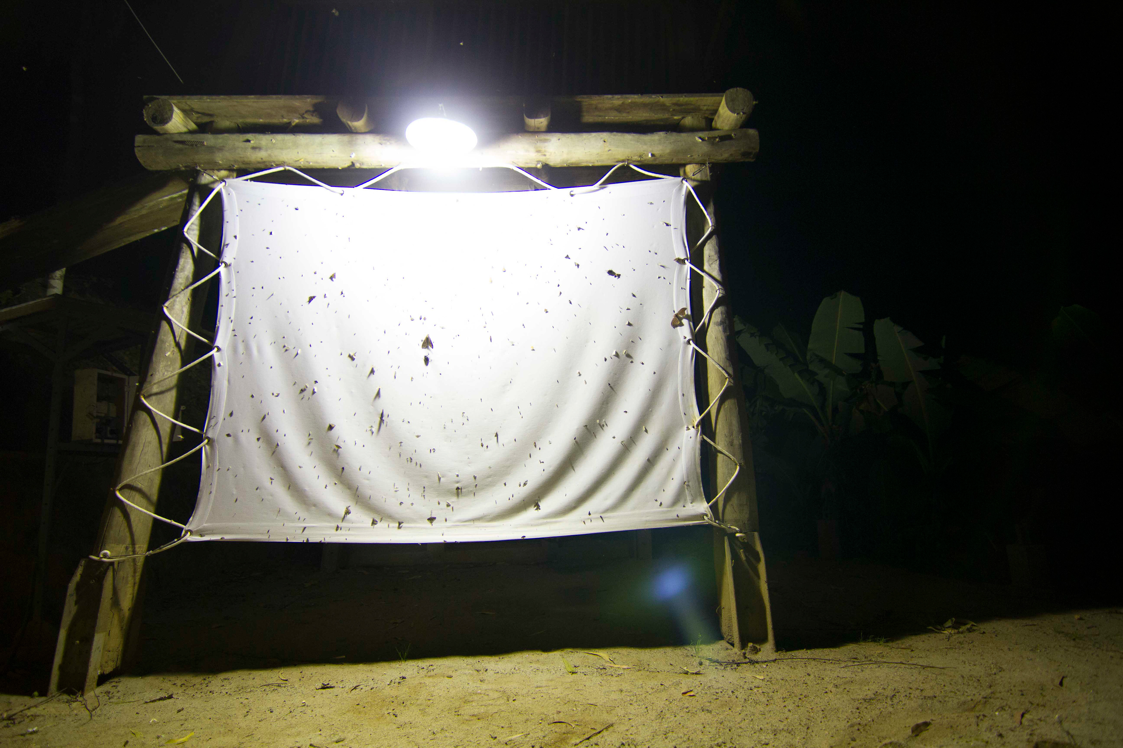 HOTEL VAKONA, INSTALLATION PERMANENTE