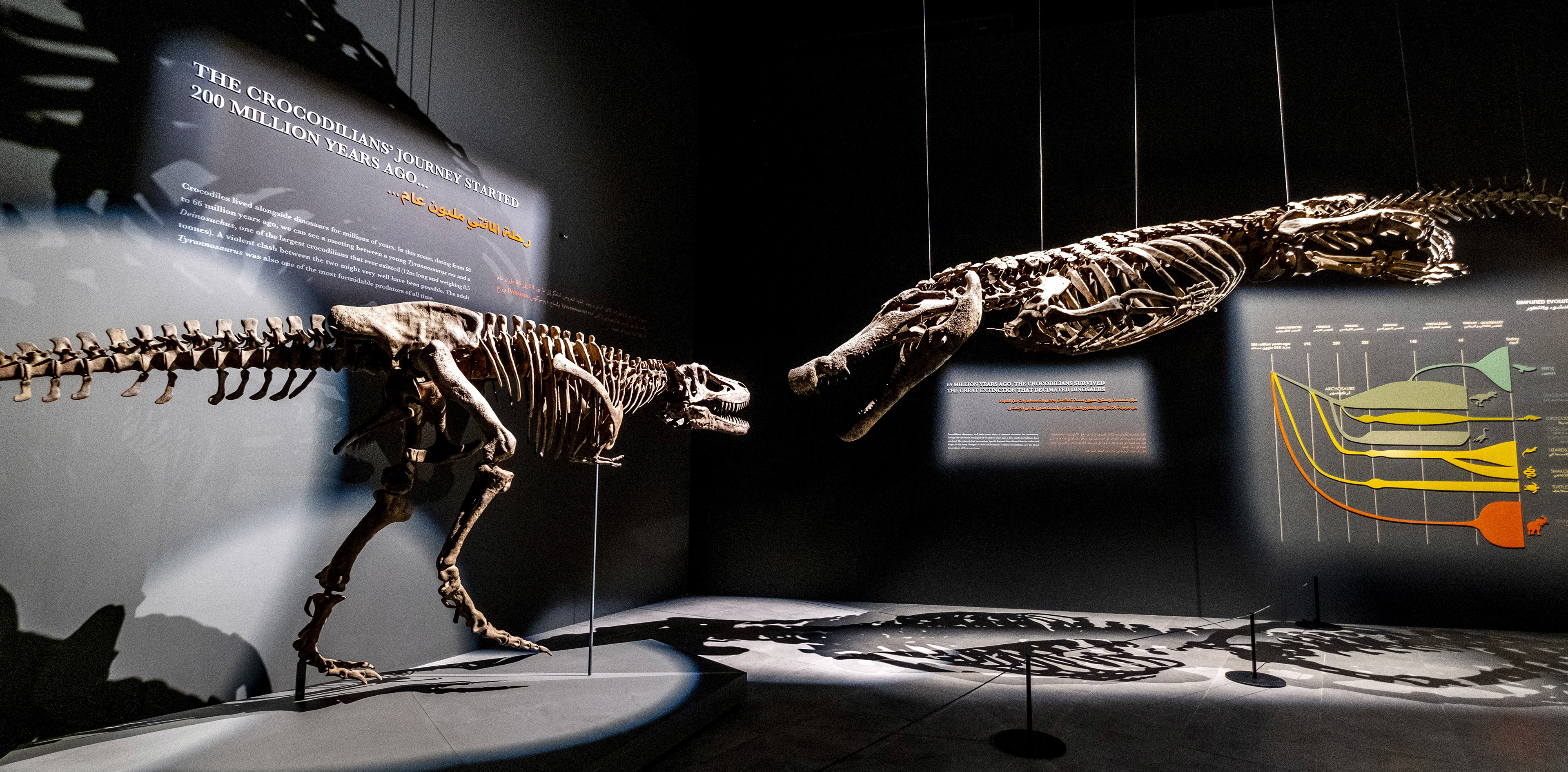 DUBAI CROCODILE PARK, CROCODILE MUSÉUM ©WHITE ORYX AQUARIUM LLC