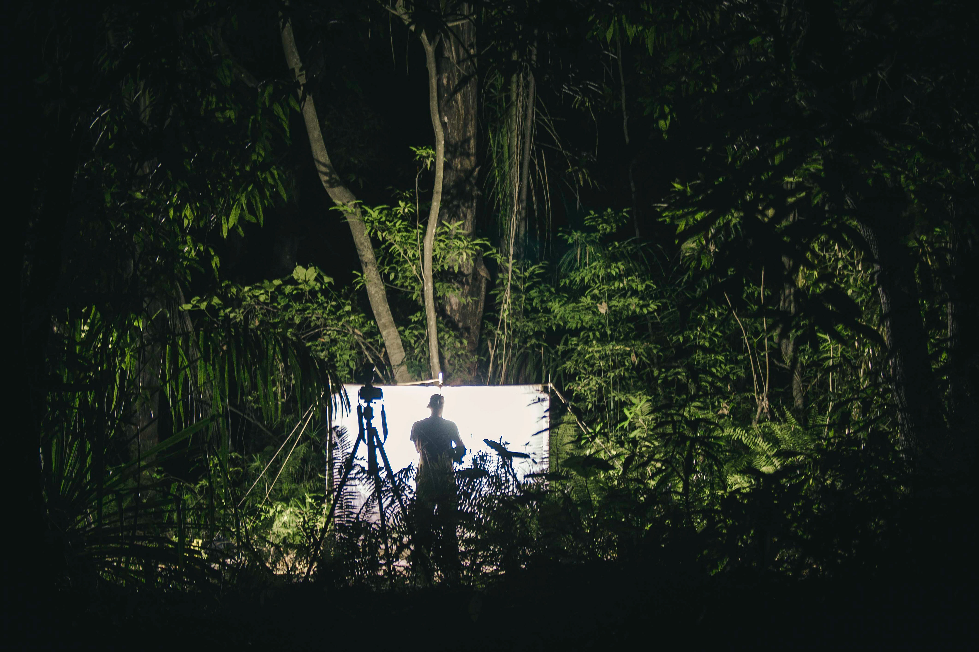 PARC NATIONAL DES TSINGY DE NAMOROKA