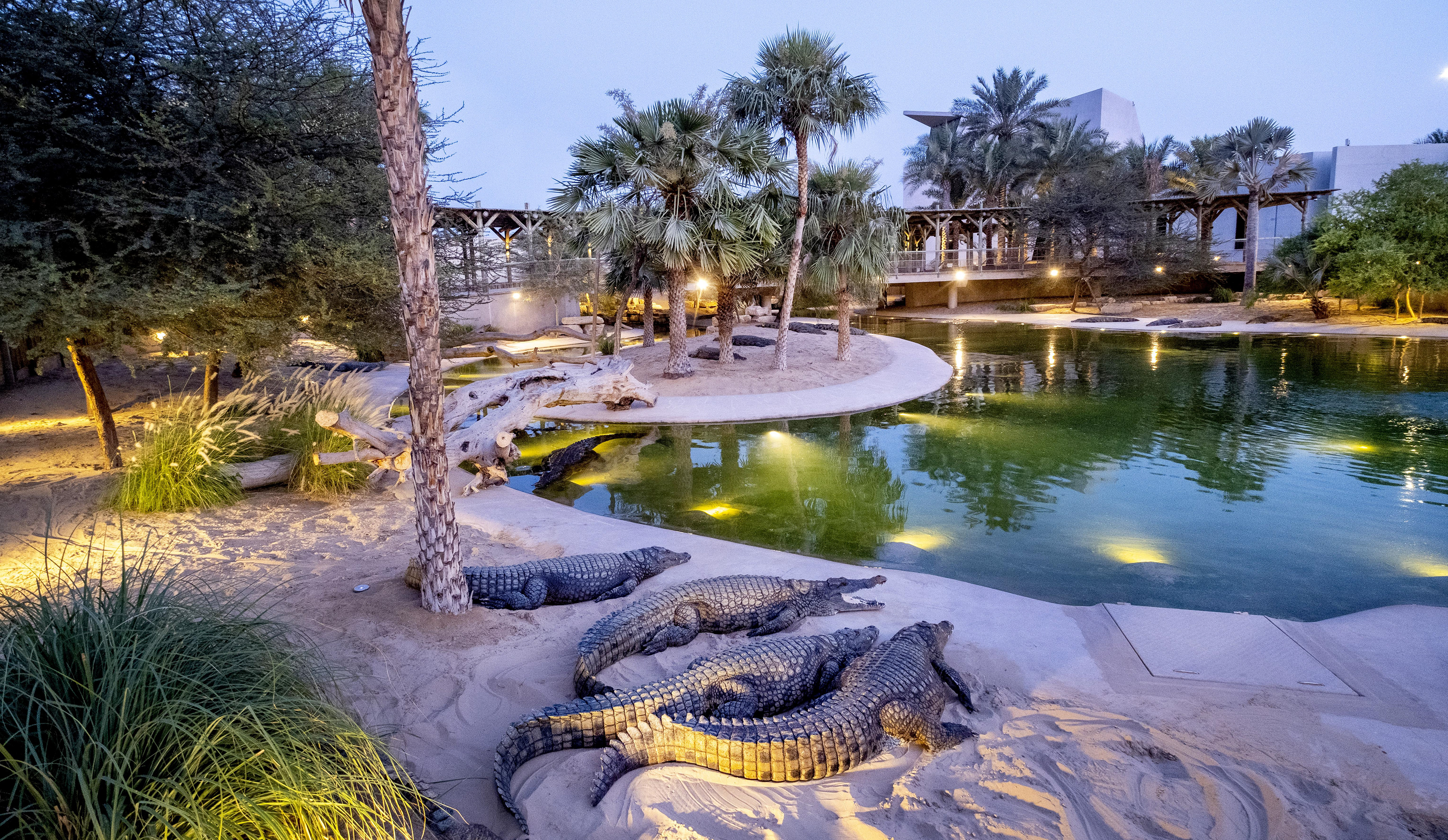 DUBAI CROCODILE PARK ©WHITE ORYX AQUARIUM LLC