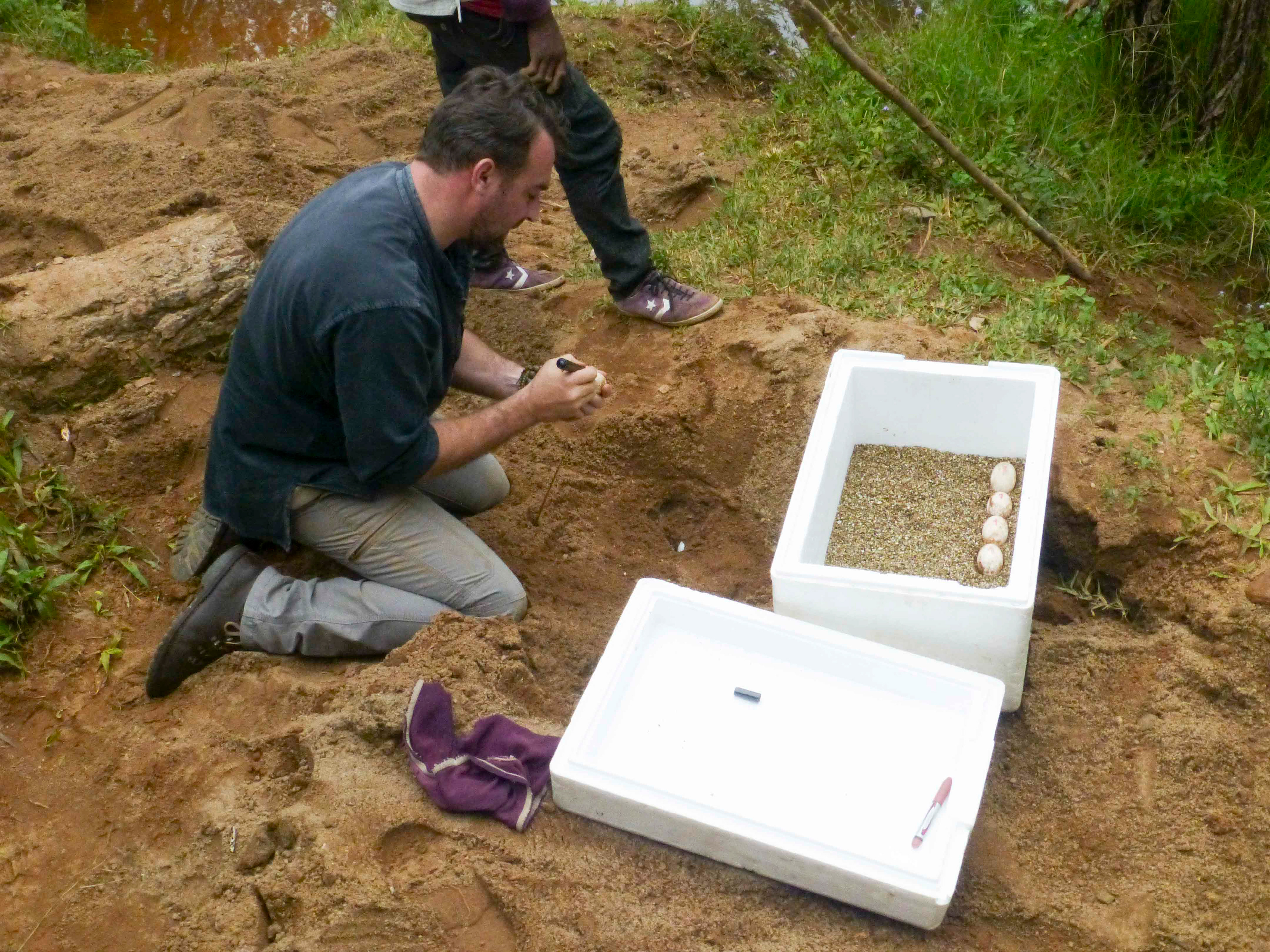 MADAGASCAR, FORMATION A LA COLLECTE D'OEUFS ©ANOUK IZOUARD