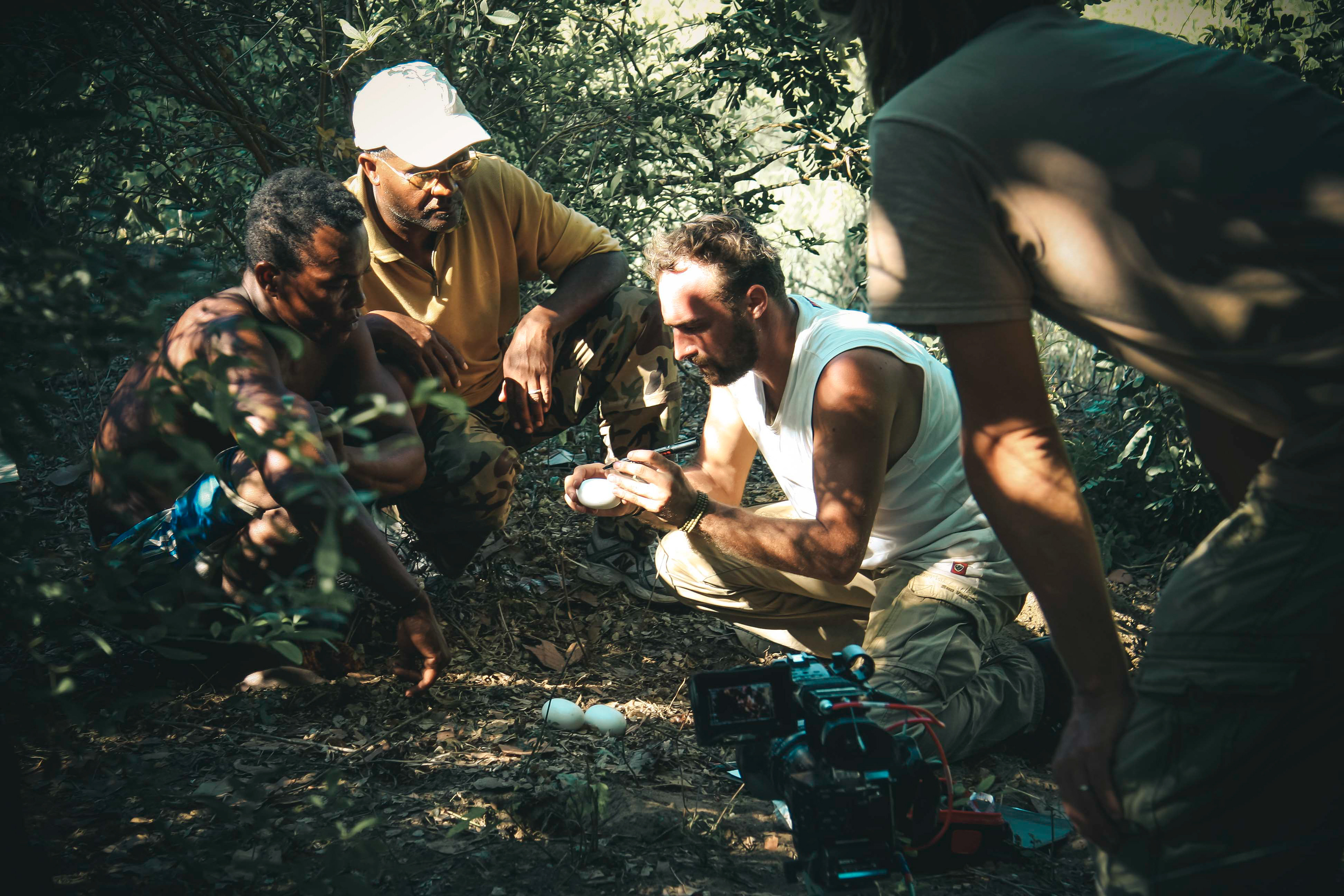 MADAGASCAR, ETUDE DE NIDS, TOURNAGE DU DOCUMENTAIRE "DANS L'OEIL DU CROCODILE"