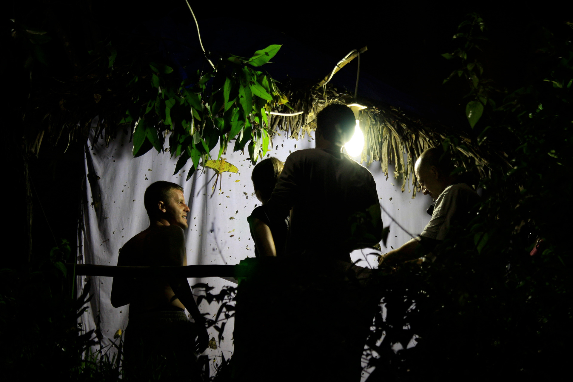 RÉSERVE DE BIODIVERSITÉ DE VOHIMANA, INSTALLATION TEMPORAIRE
